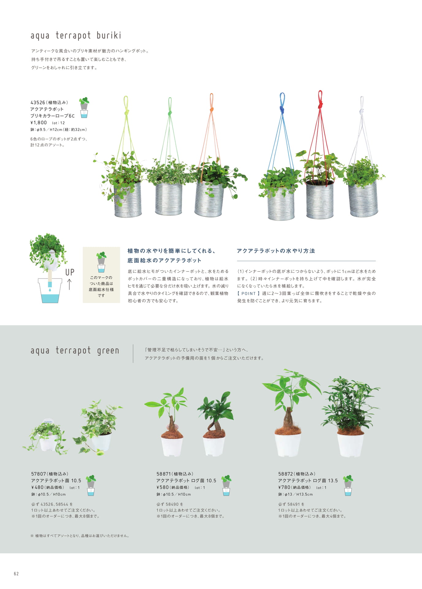 Page 62(62ページ目)