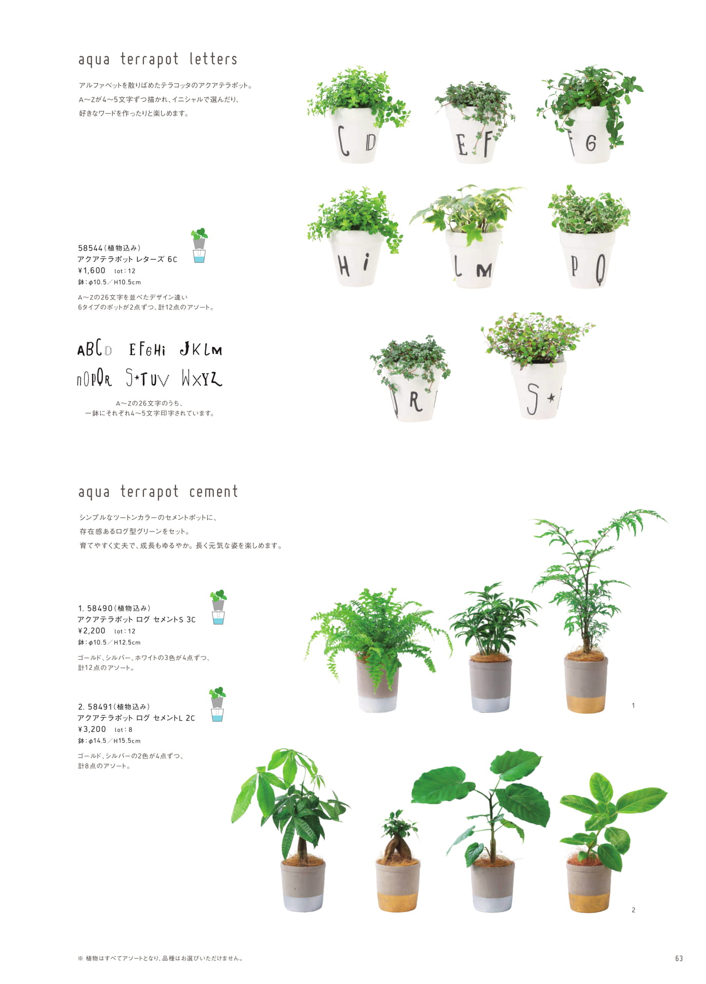 Page 63(63ページ目)