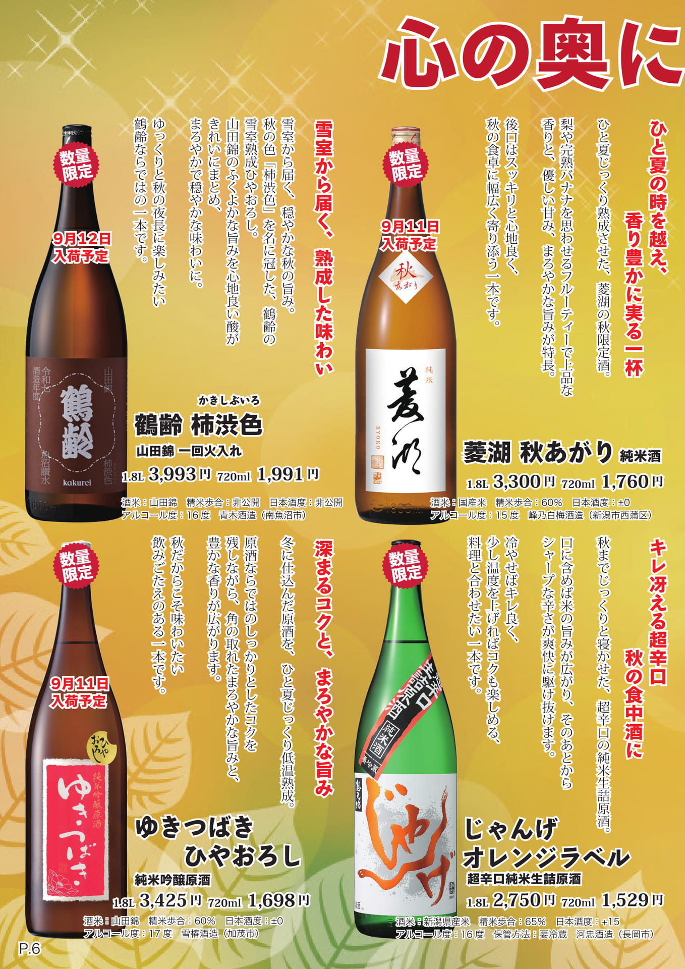 ページ（9ページ目）