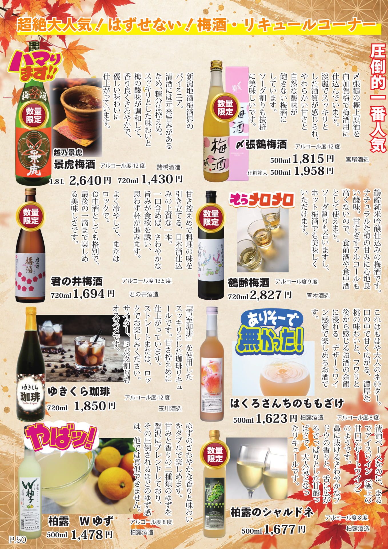 ページ（53ページ目）
