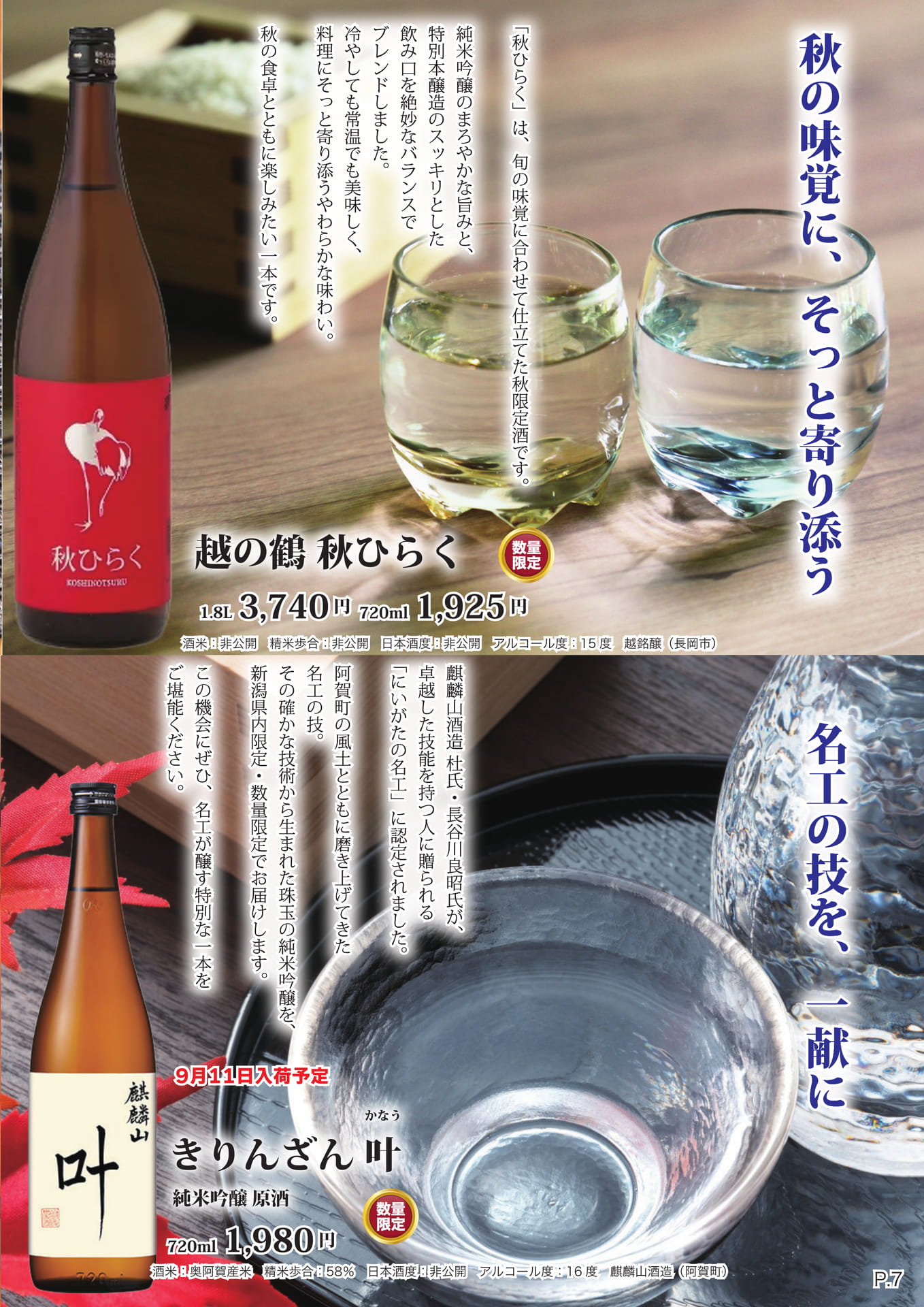ページ（10ページ目）