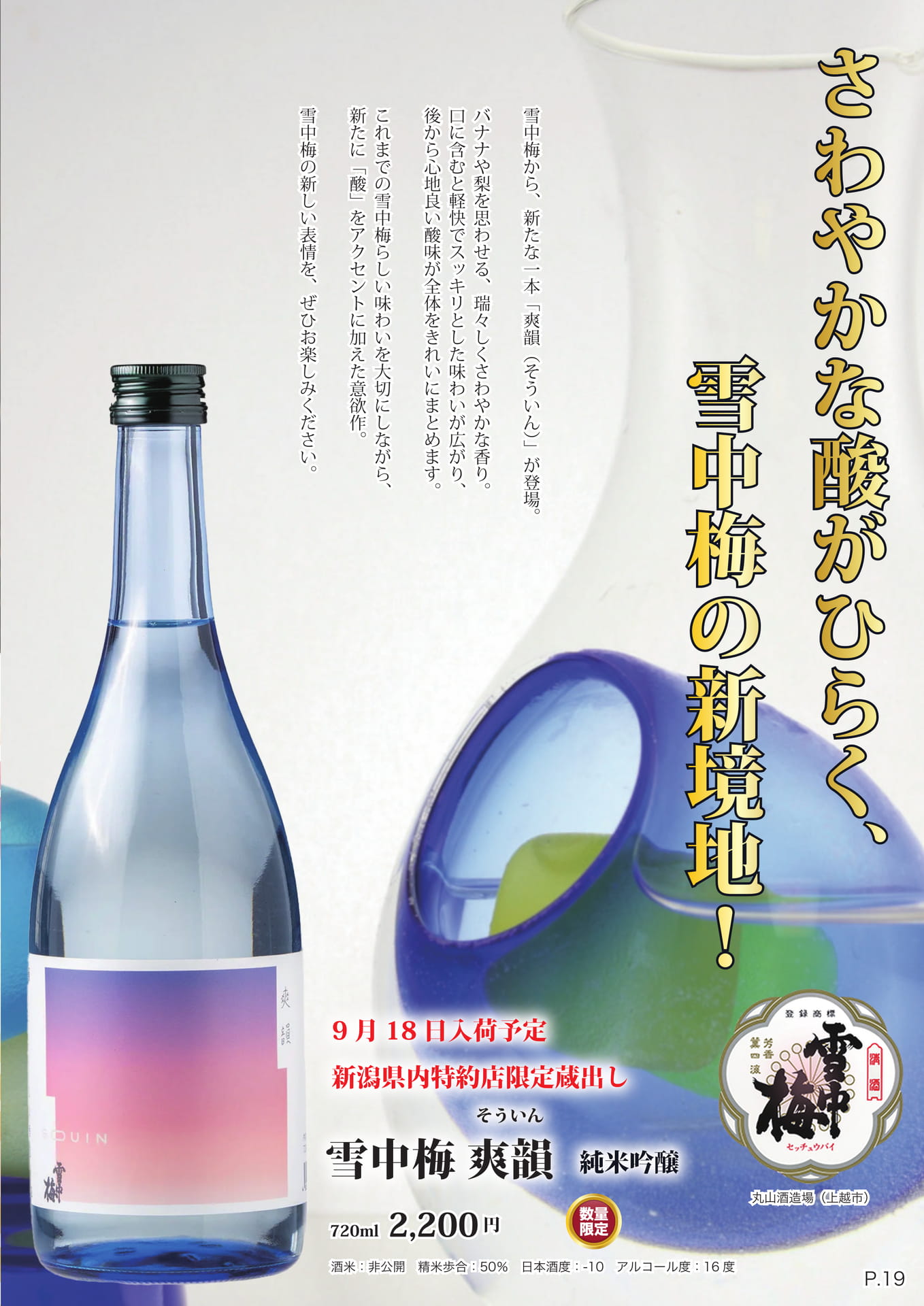 ページ（22ページ目）