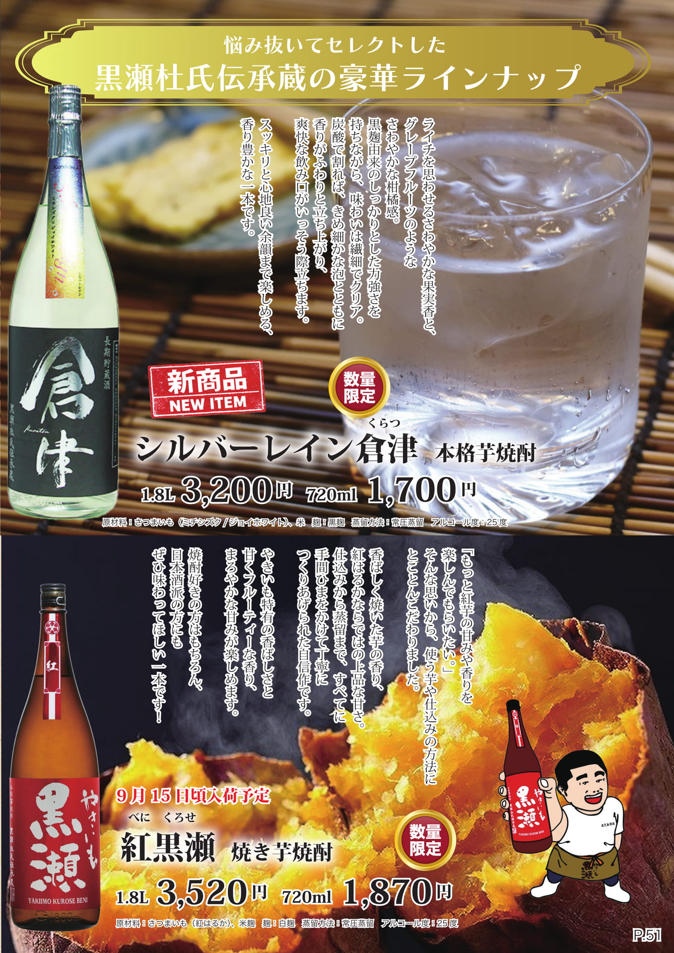 ページ（54ページ目）
