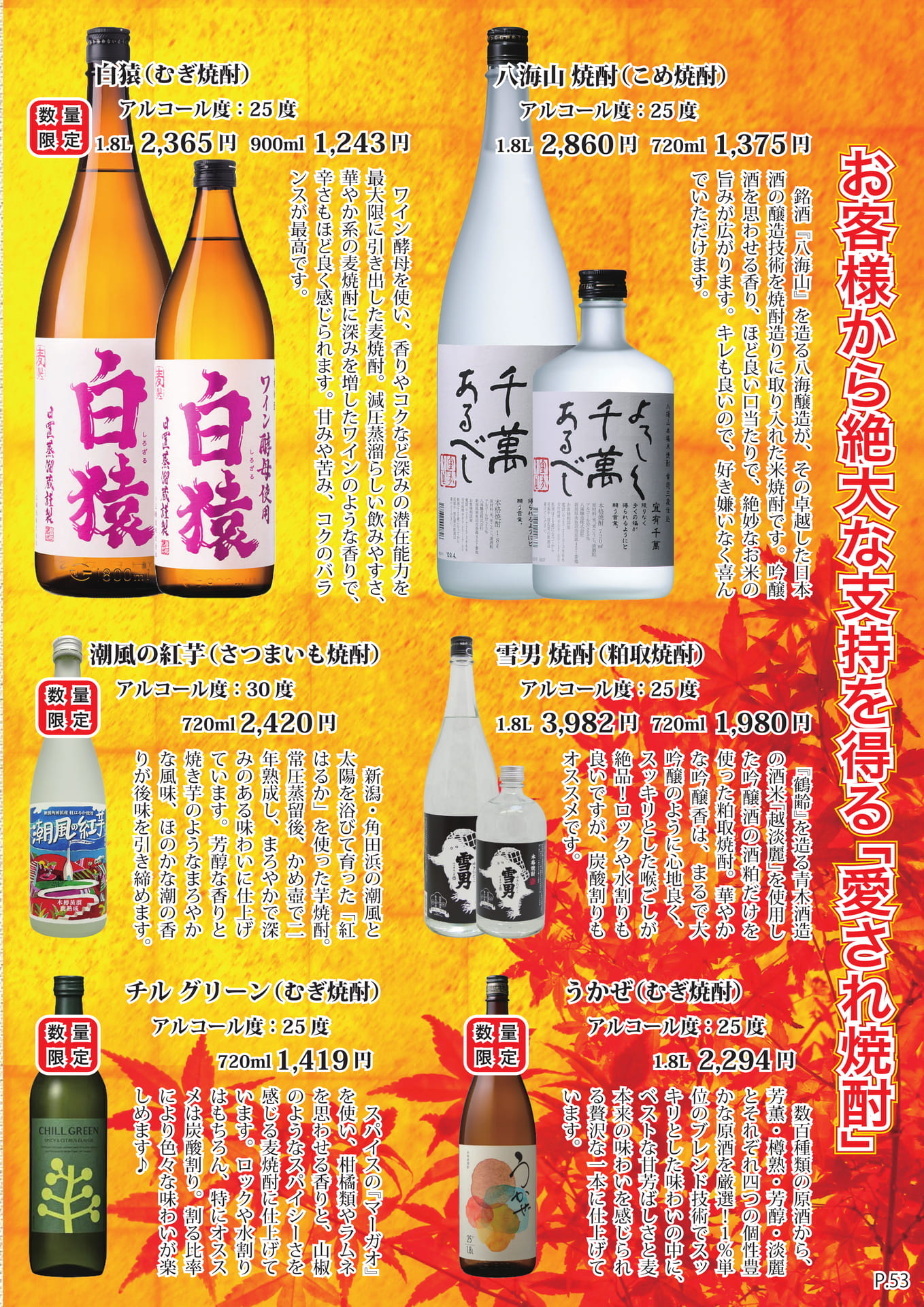 ページ（56ページ目）