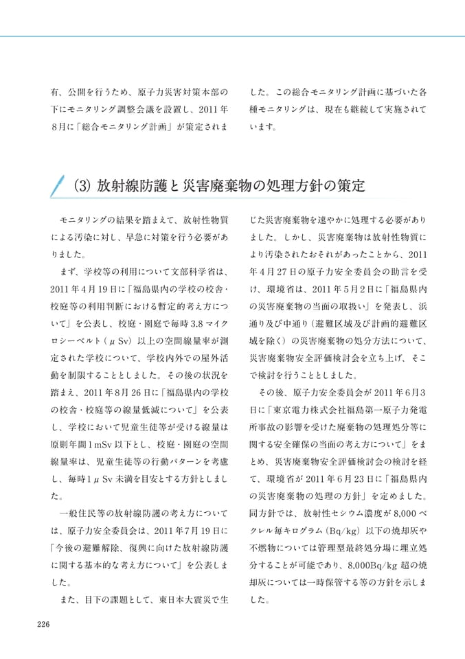 Page 238(238ページ目)