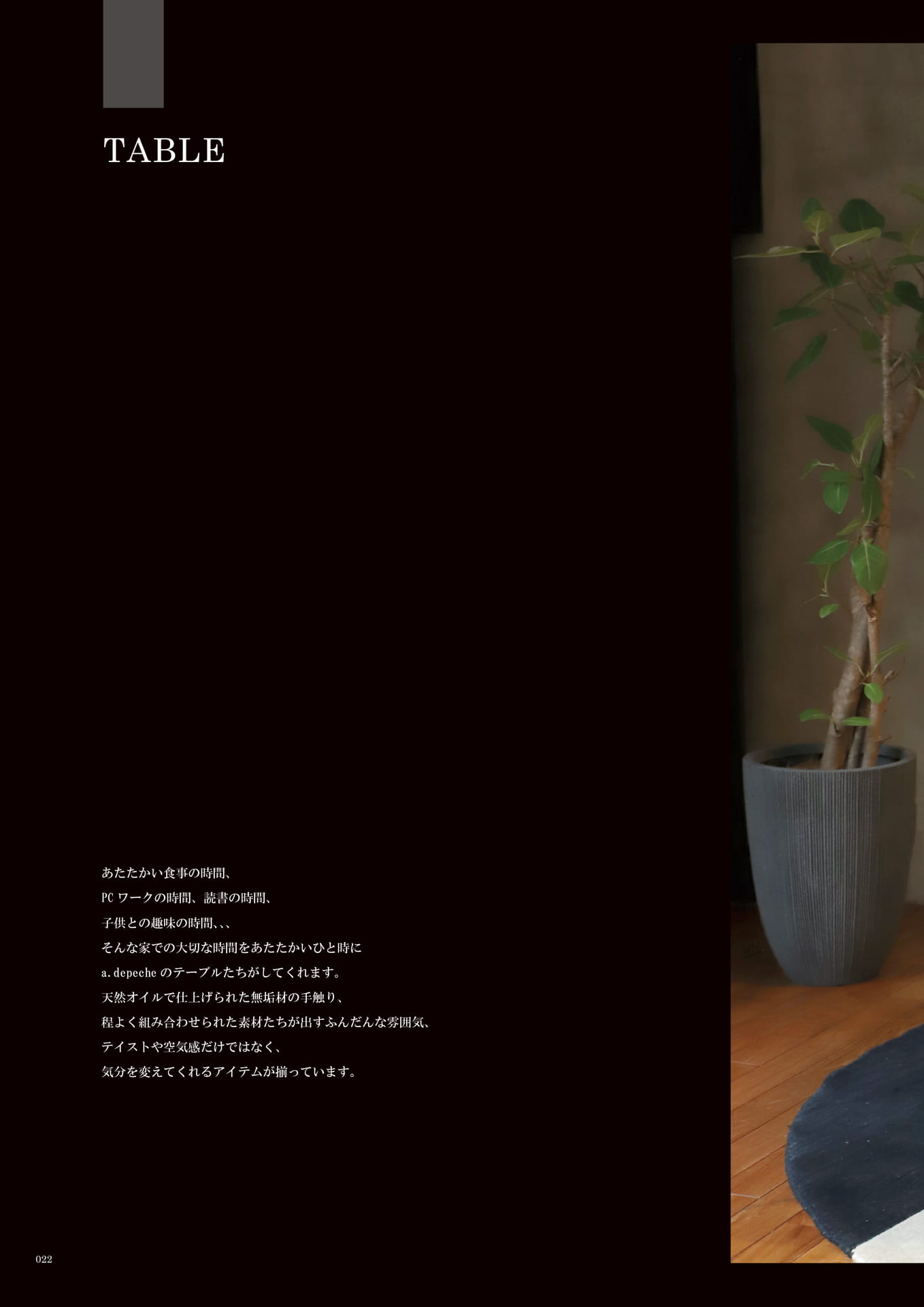 022 | TABLE(24ページ目)