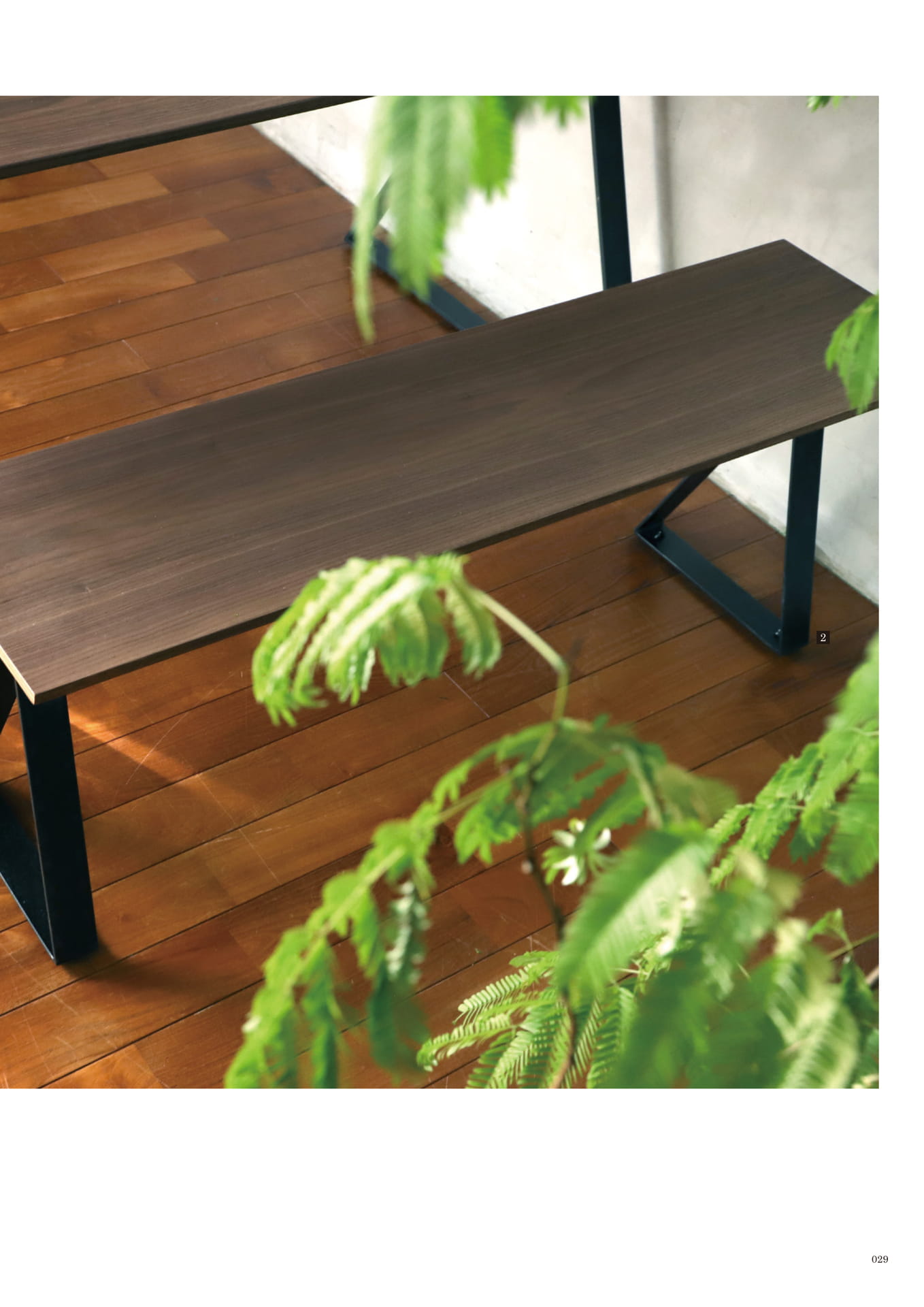 029 | TABLE(31ページ目)