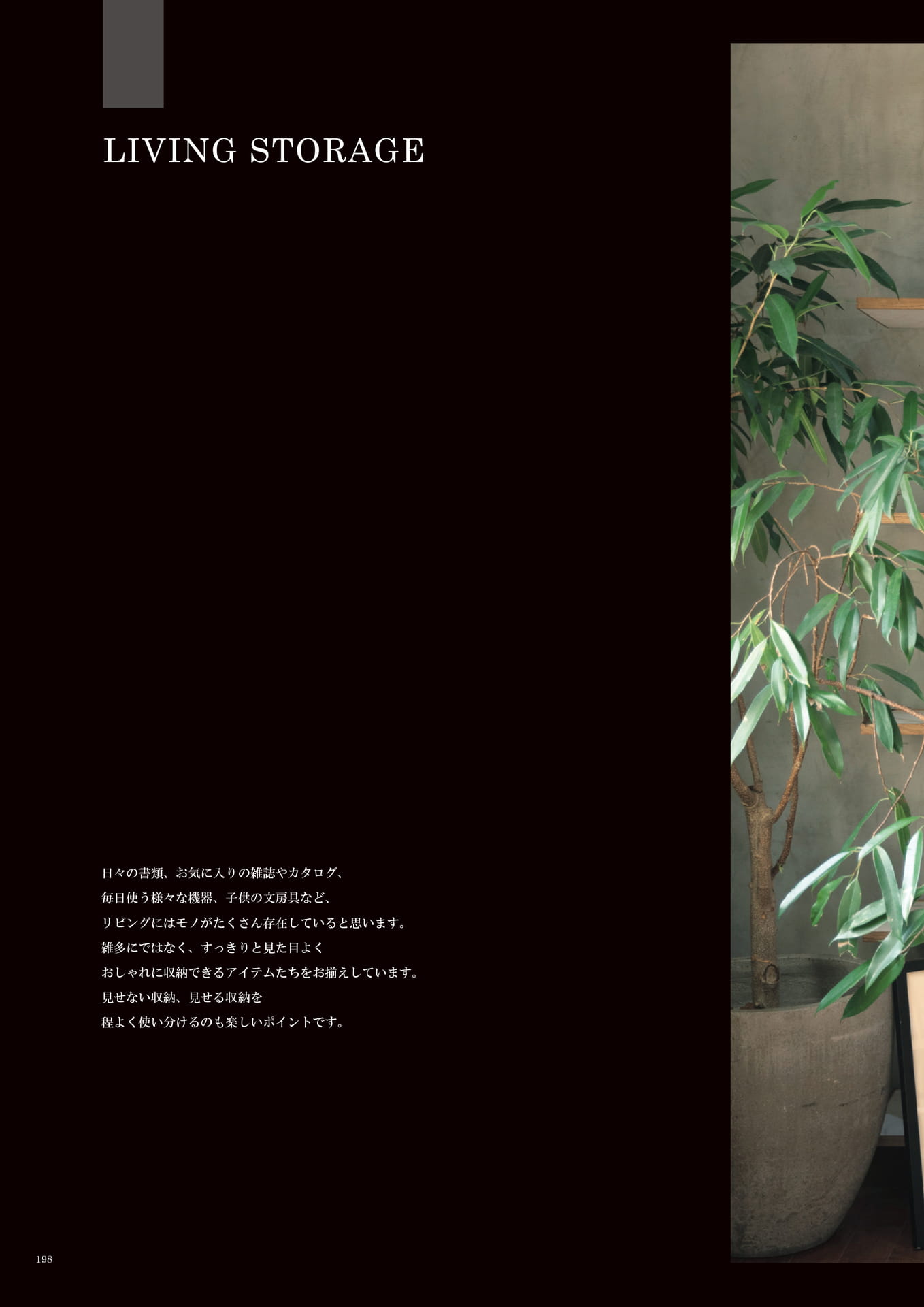 198 | LIVING STORAGE(200ページ目)