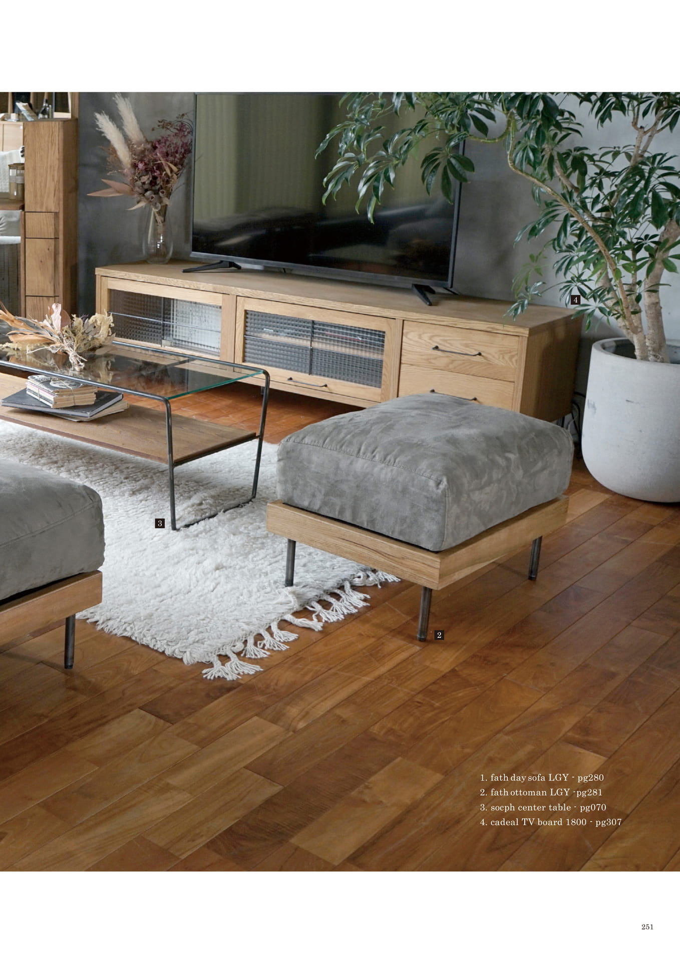 251 | SOFA(253ページ目)