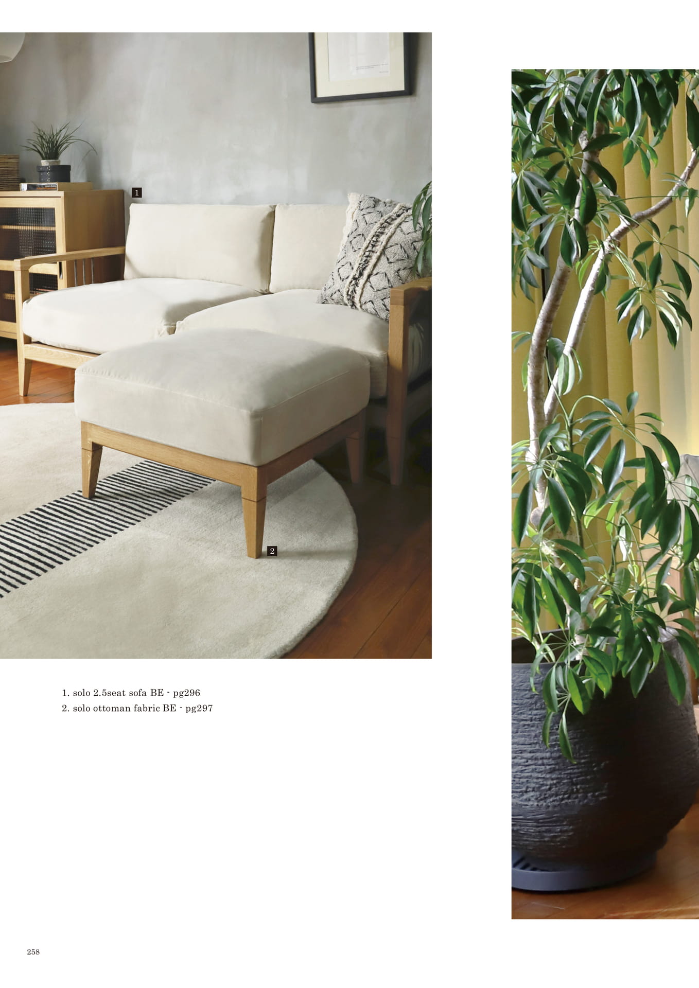 258 | SOFA(260ページ目)