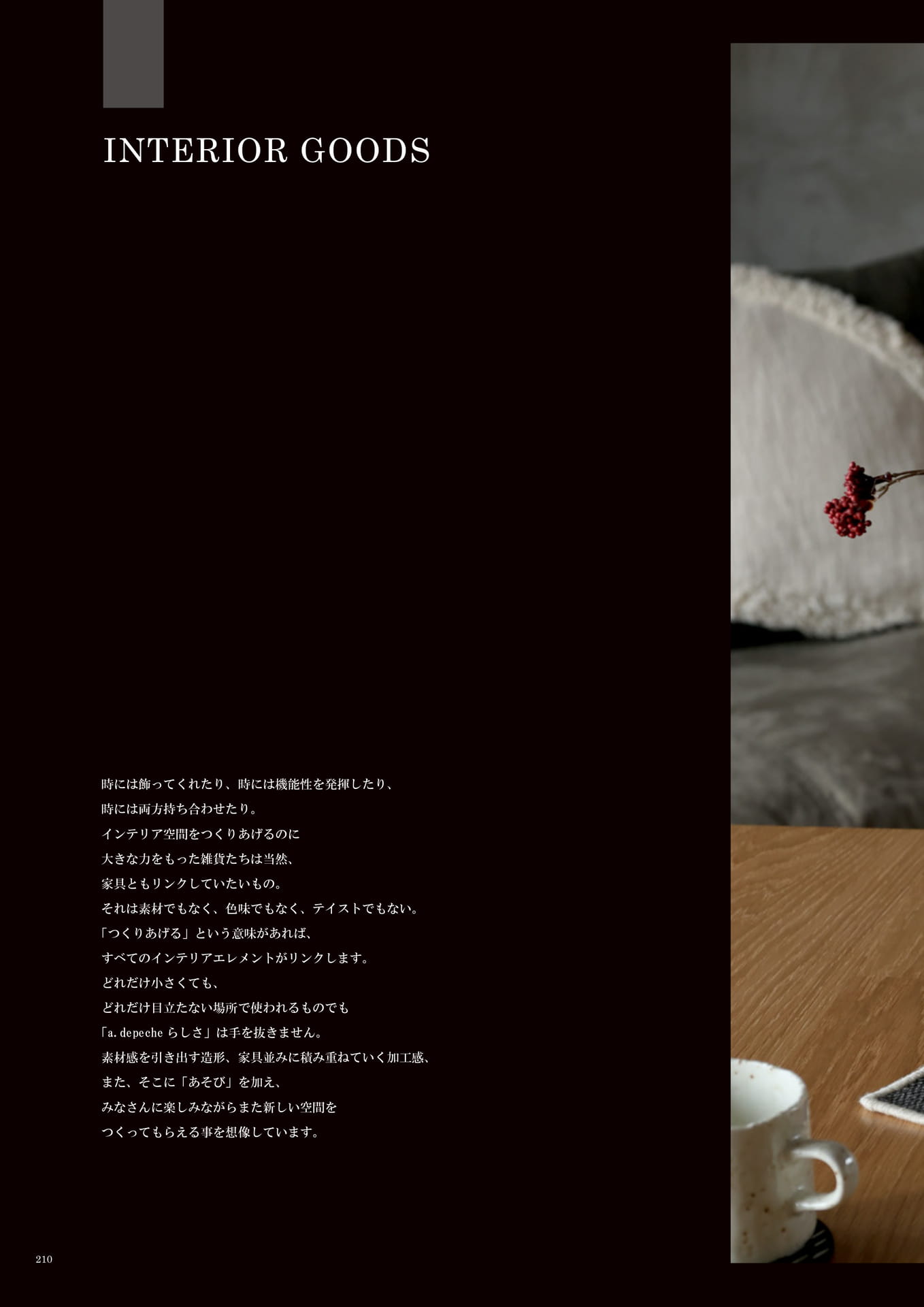 210 | INTERIOR GOODS(212ページ目)