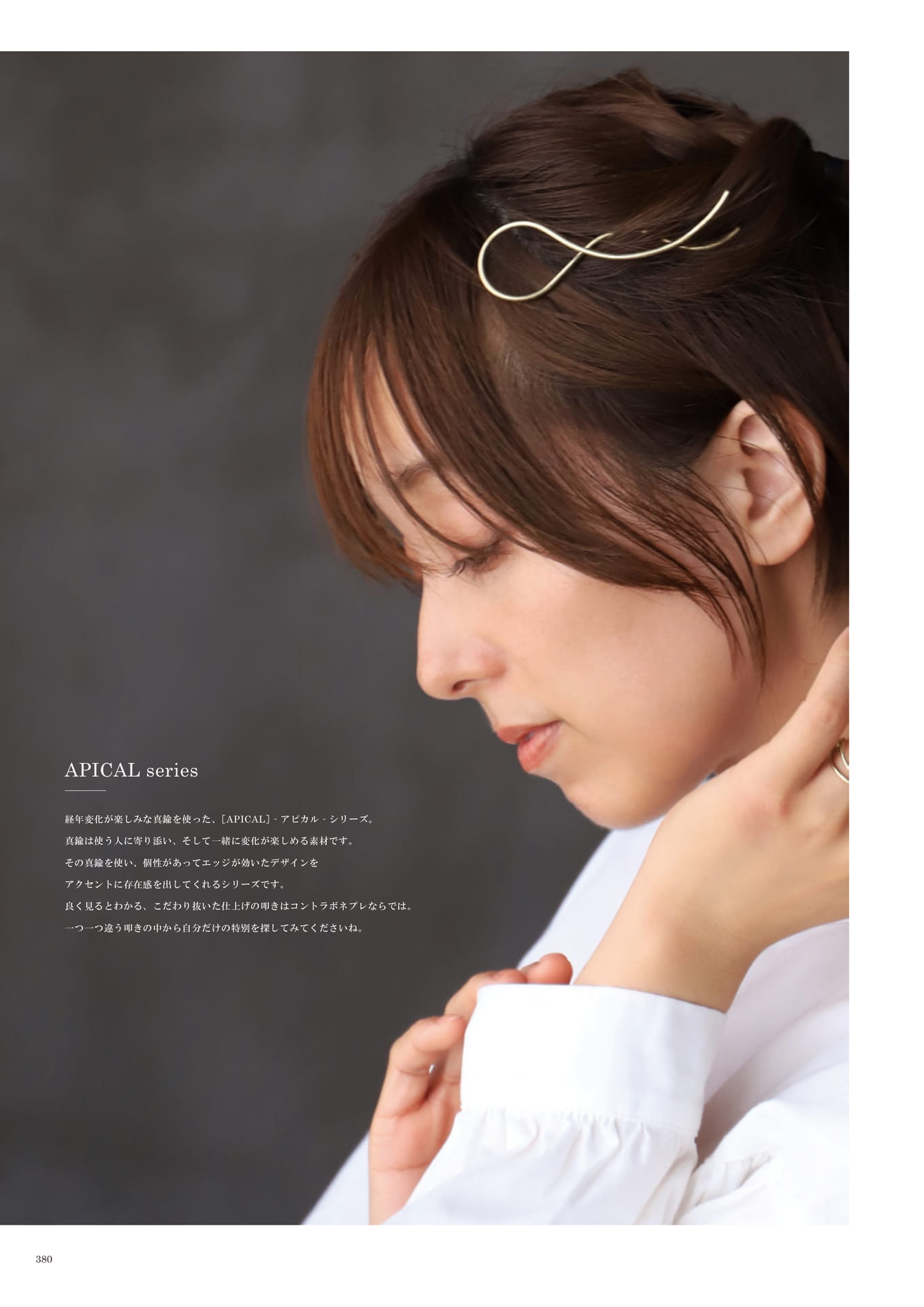 380 | ACCESSORY(382ページ目)