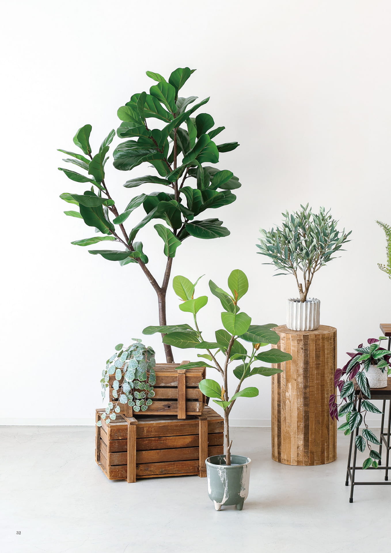 032 | toco artificial plants(34ページ目)