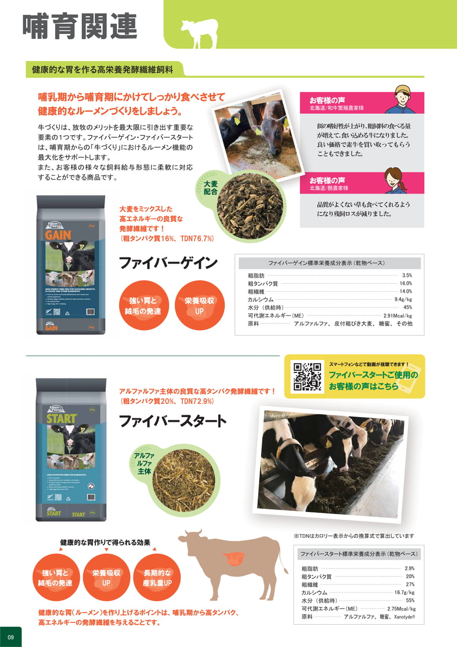 Page 14(10ページ目)