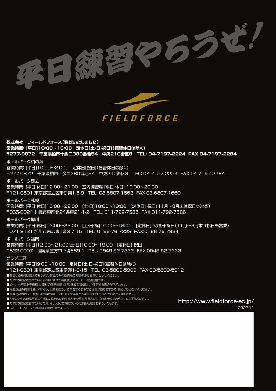 Page (追加)1（66ページ目）