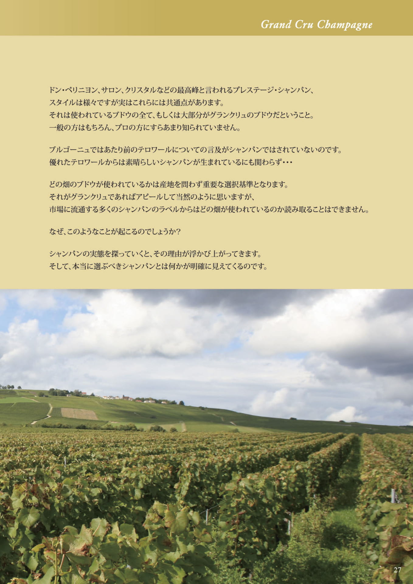 Page 029(29ページ目)