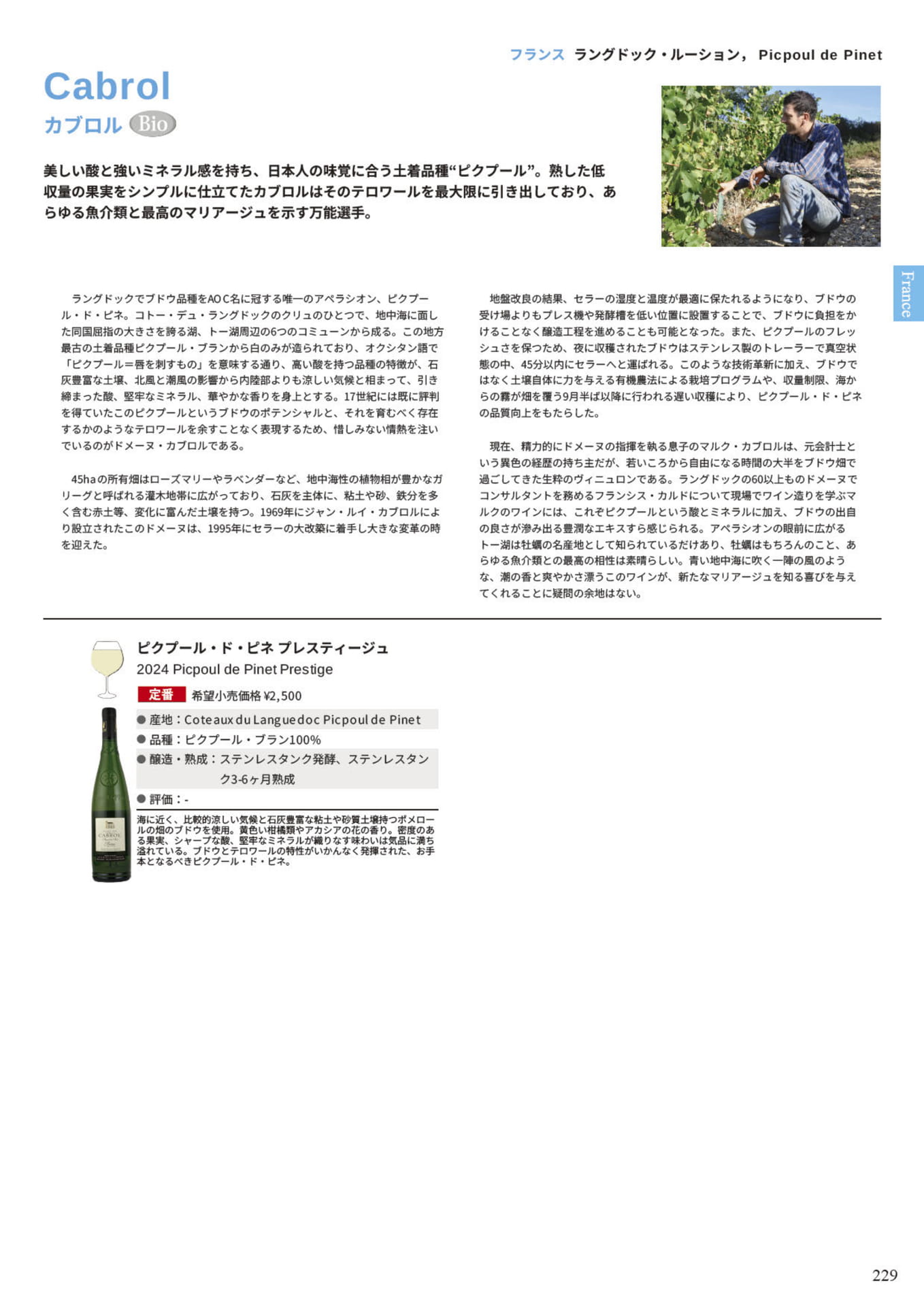 Page 231(231ページ目)