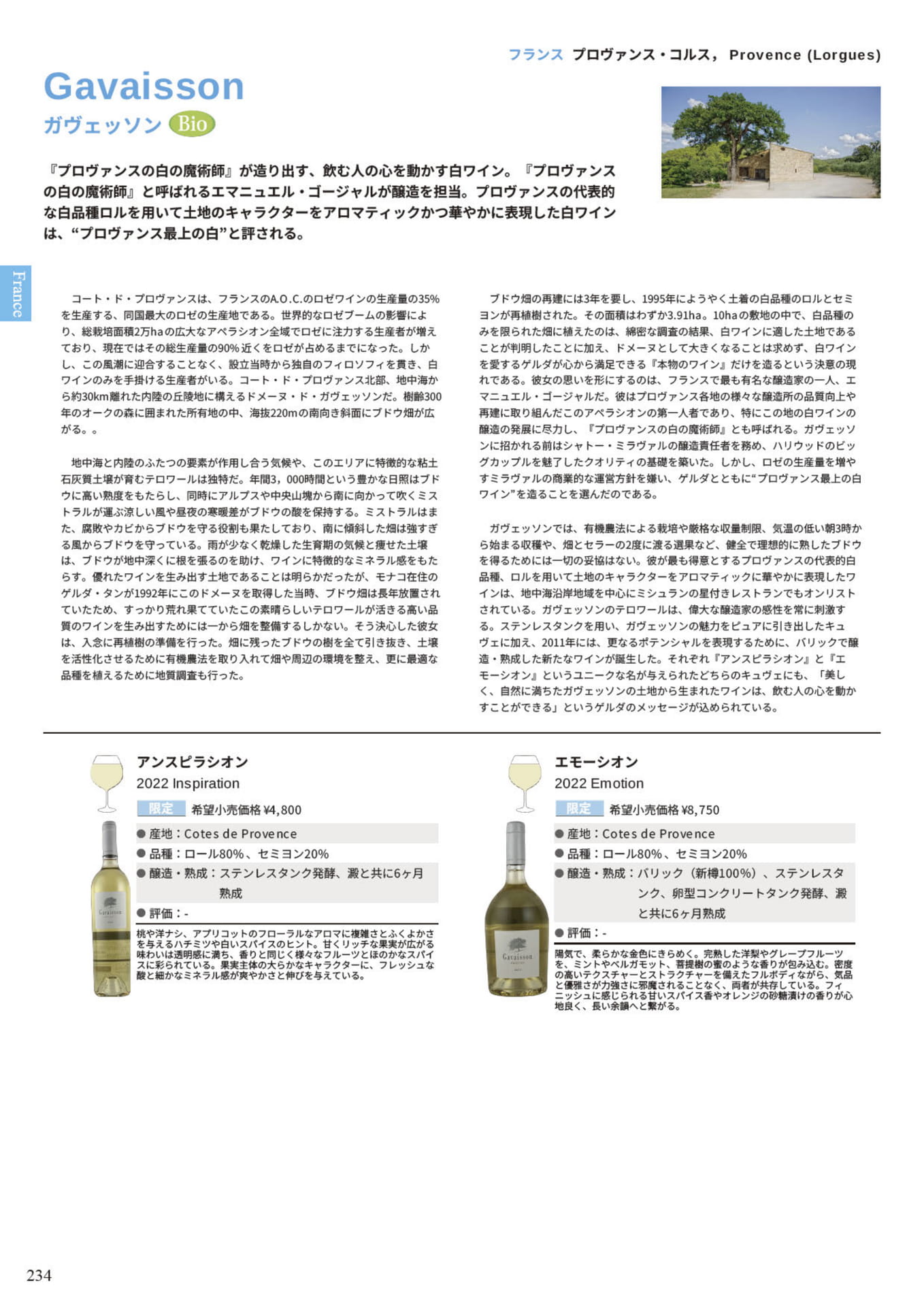Page 236(236ページ目)