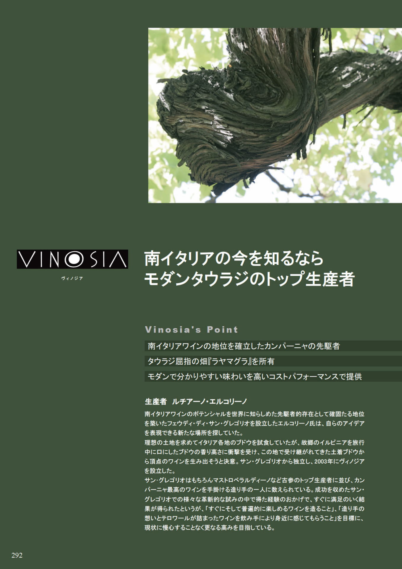 Page 294(294ページ目)
