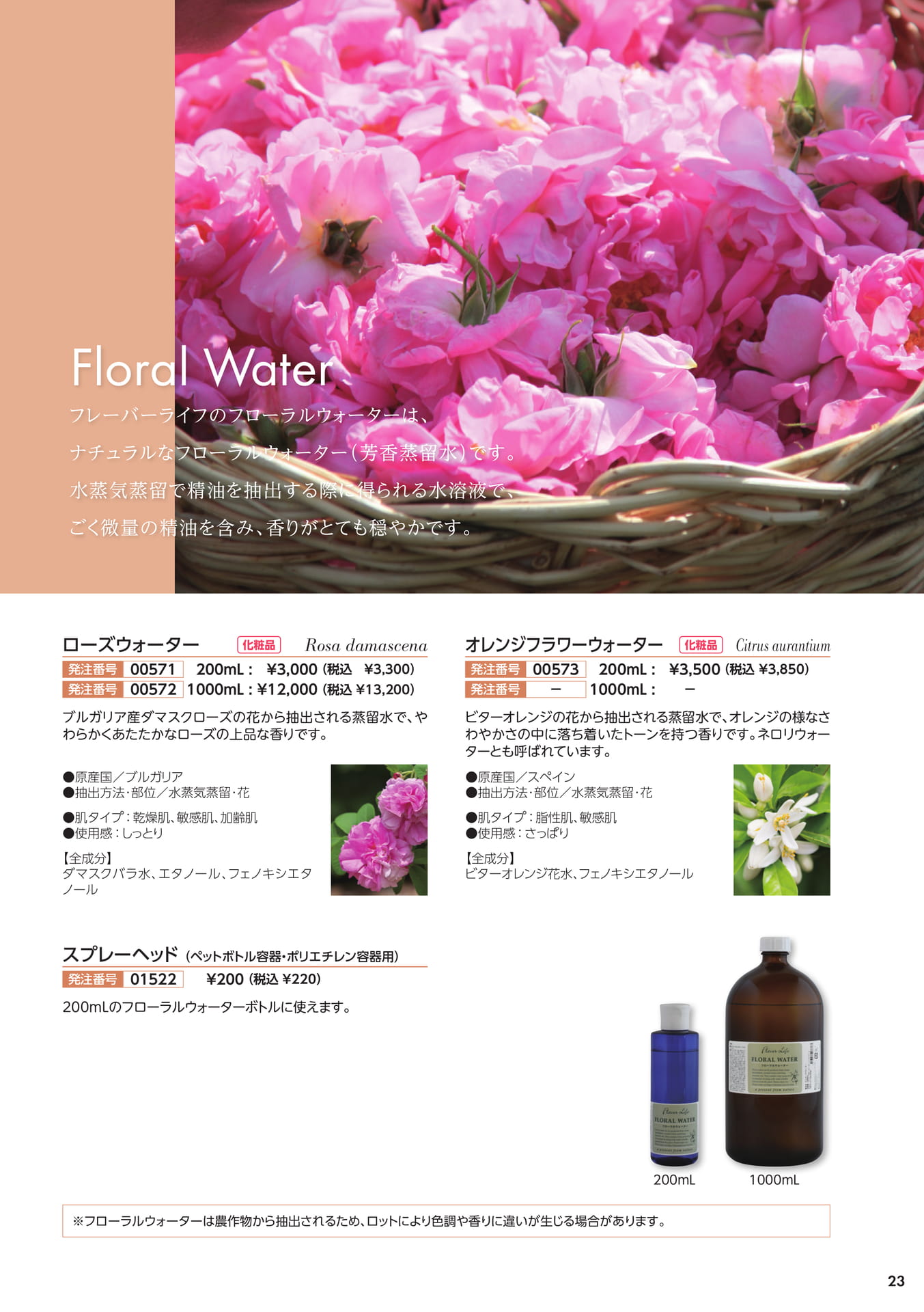 Page 23(23ページ目)