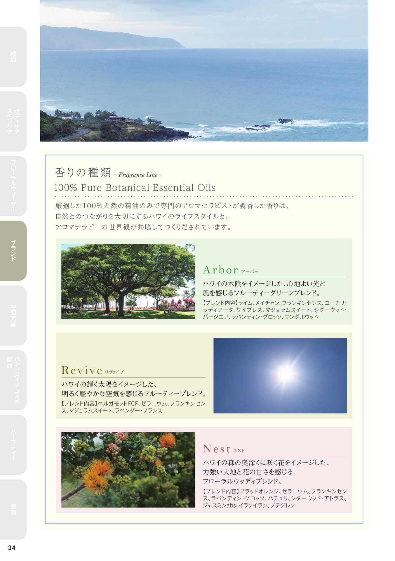 Page 34(34ページ目)
