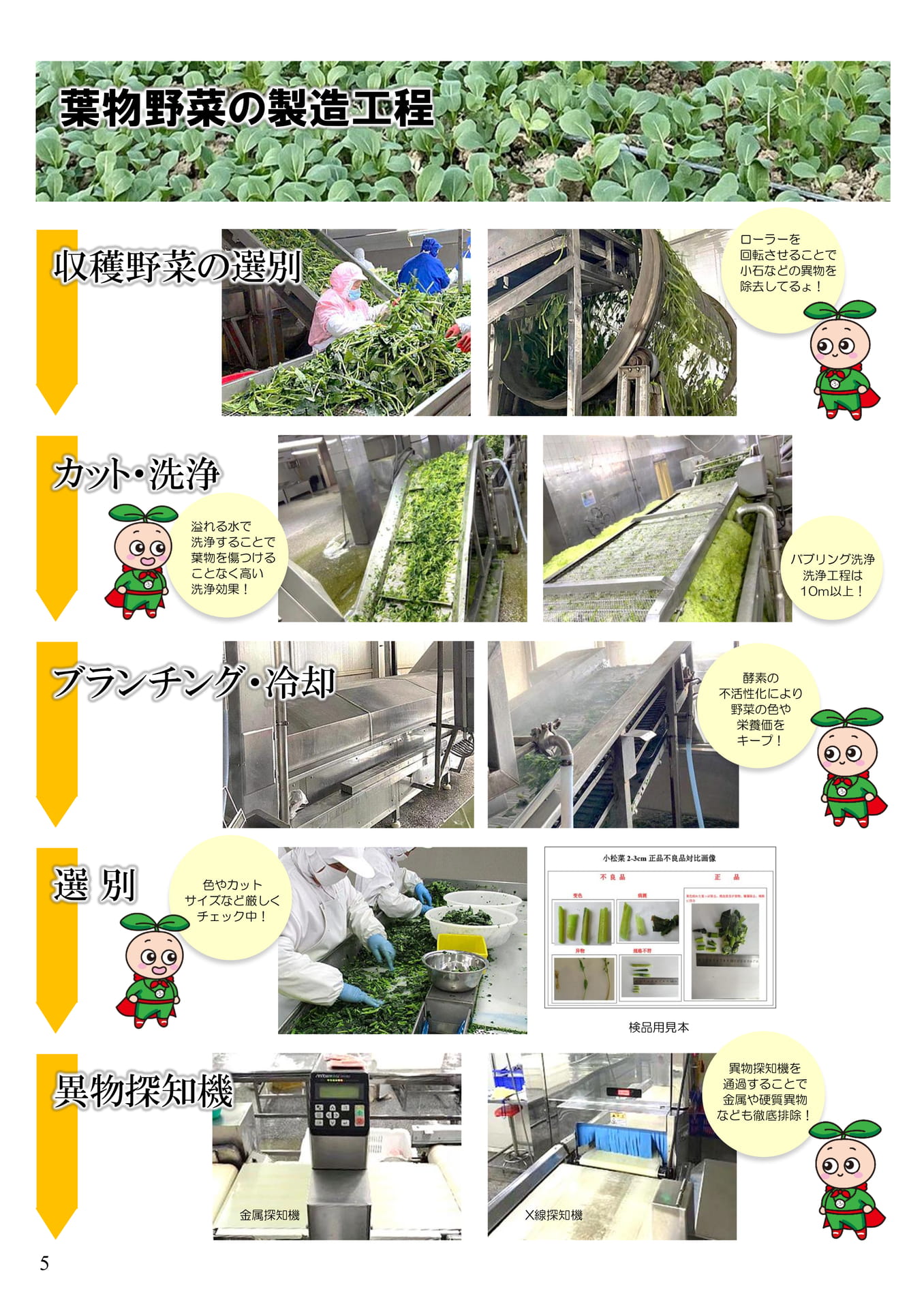 Page 06（6ページ目）