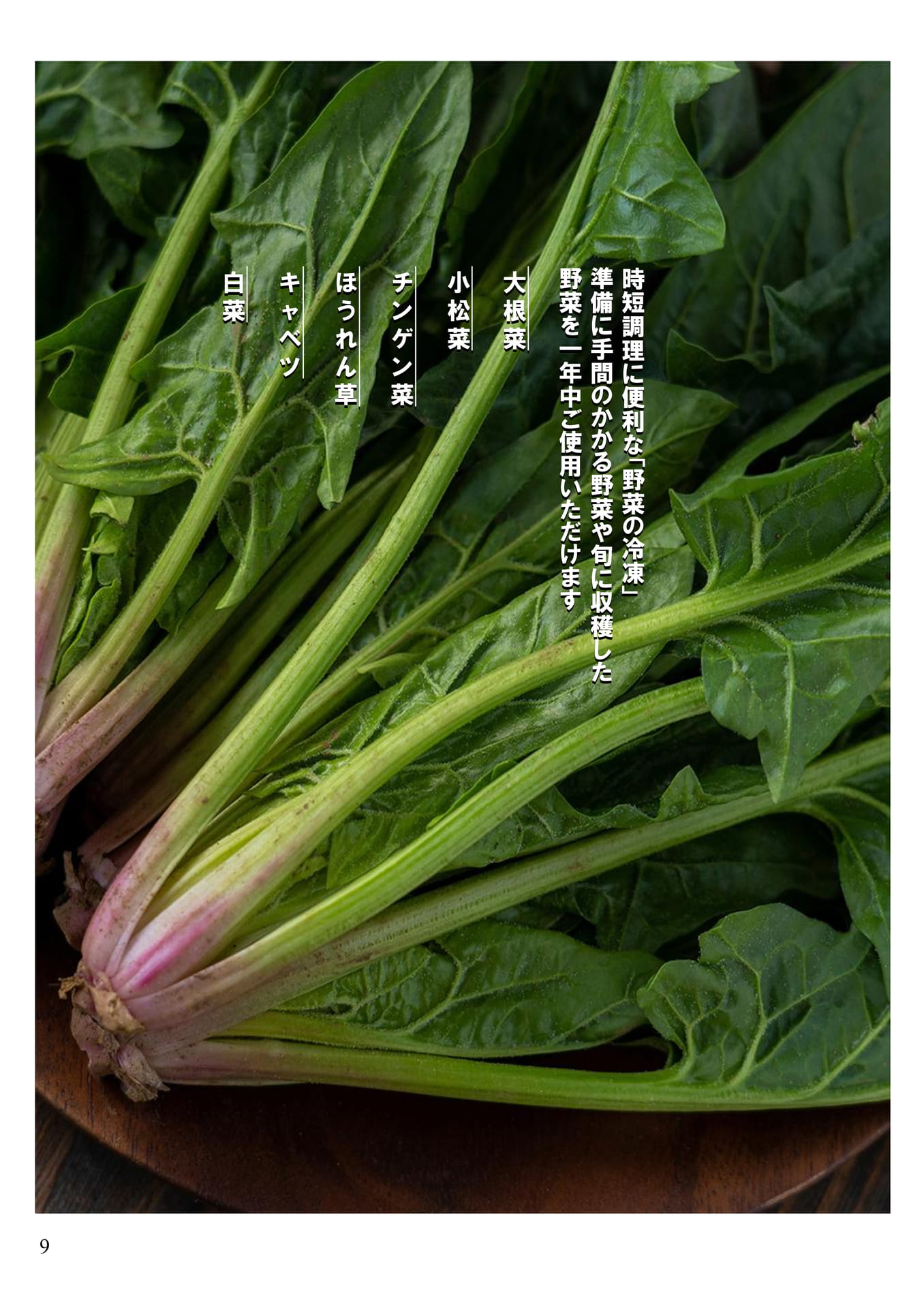 Page 10（10ページ目）