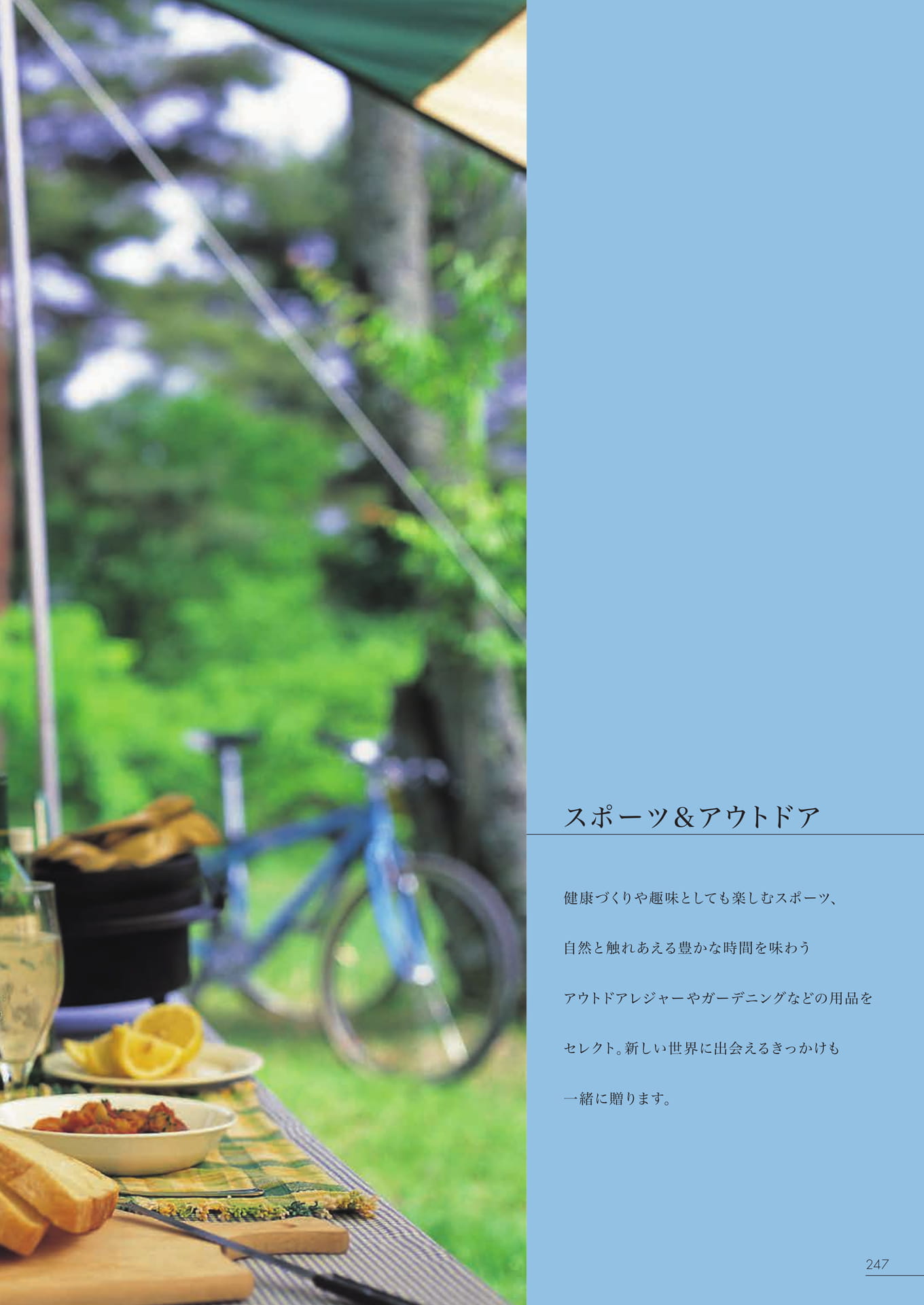 Page 241（241ページ目）