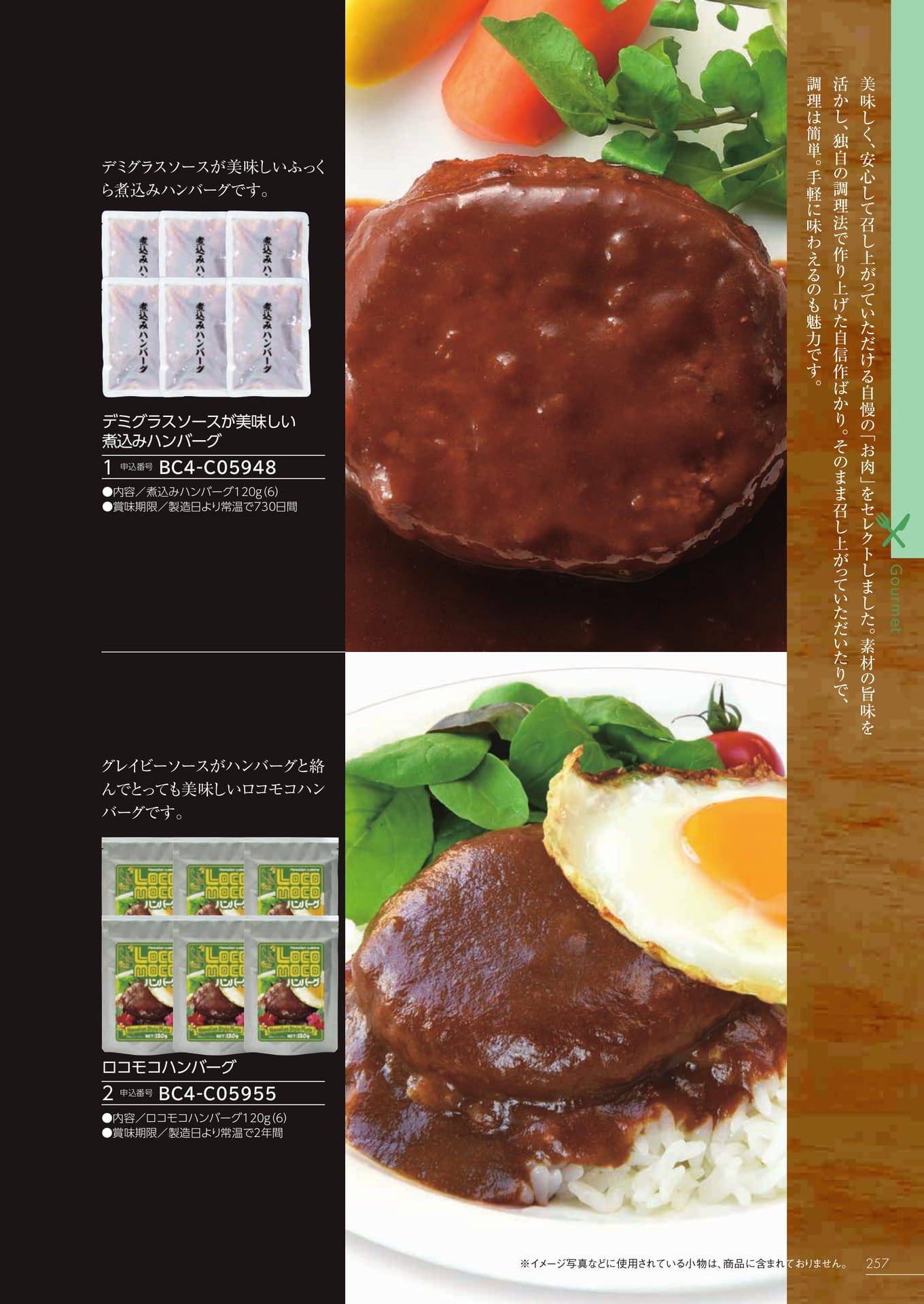 Page 251（251ページ目）