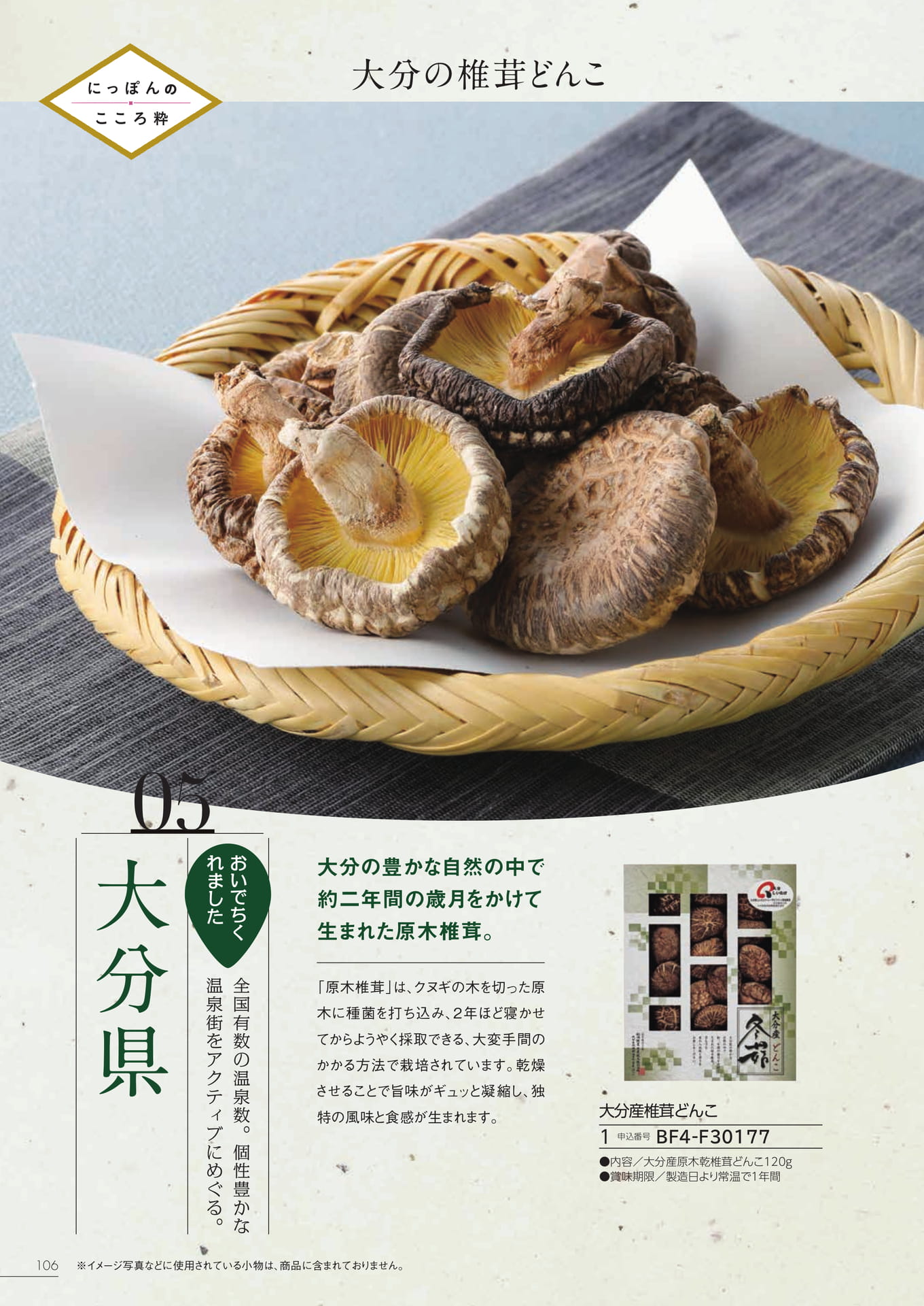 Page 100（100ページ目）