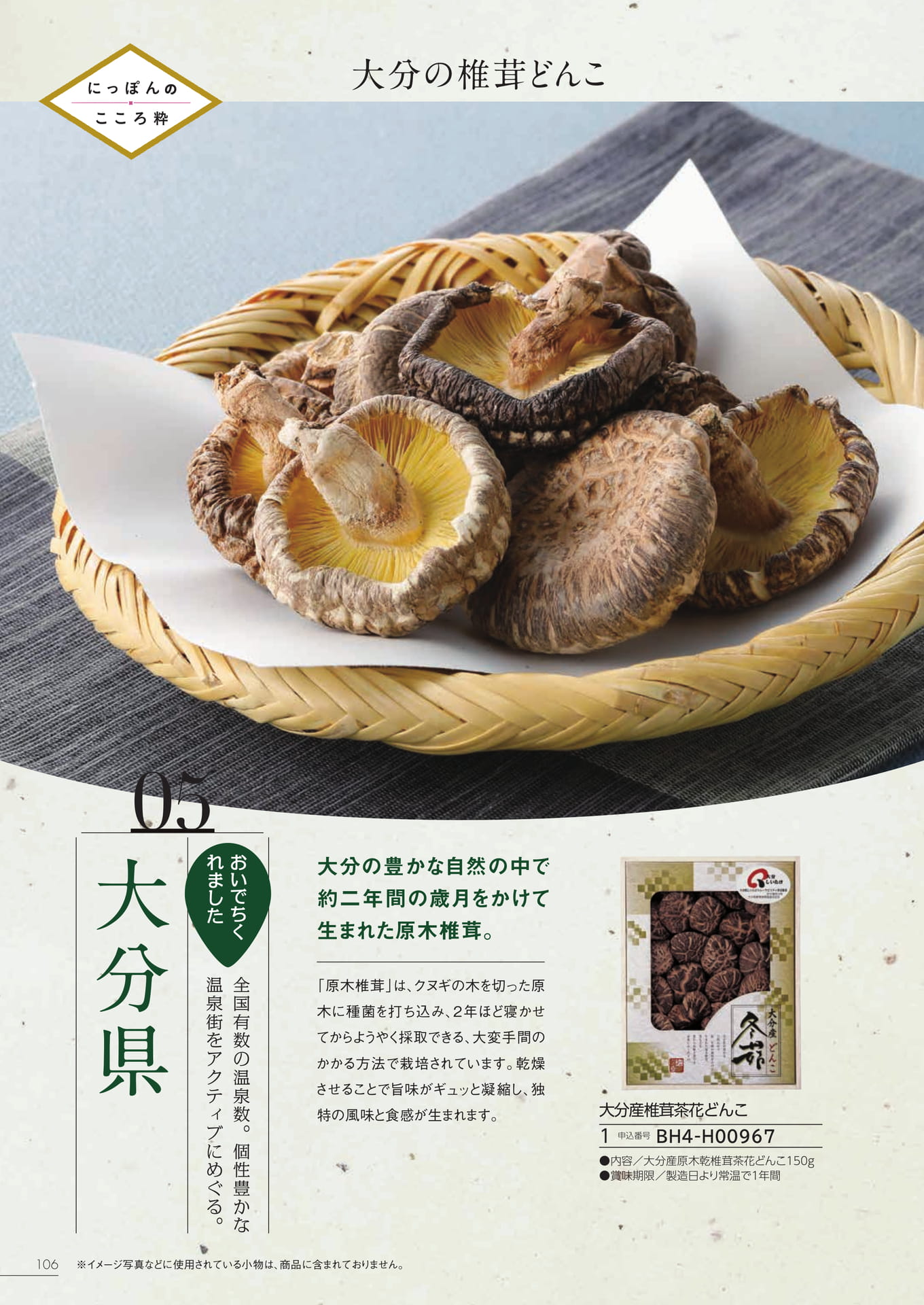 Page 100（100ページ目）