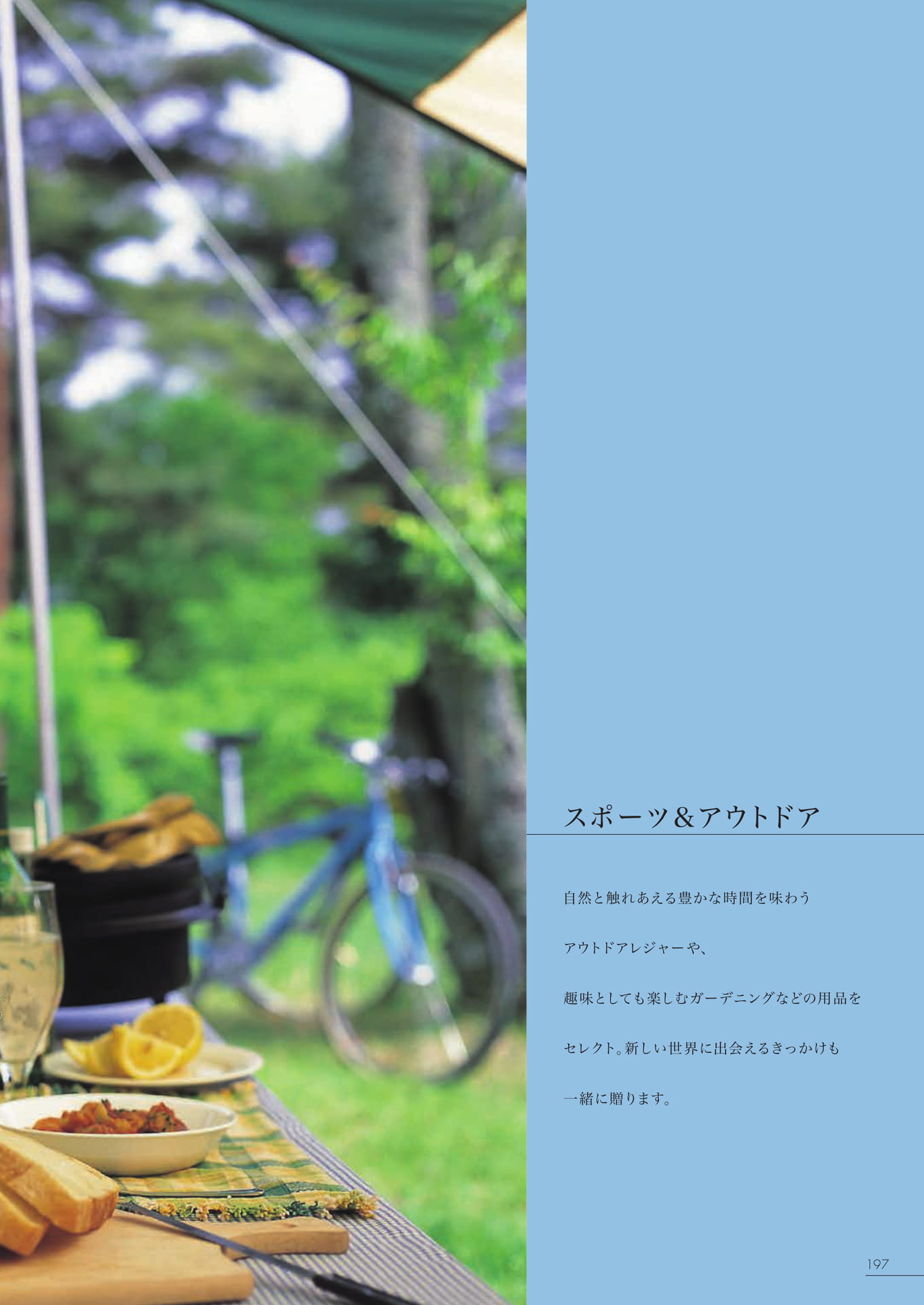 Page 191（191ページ目）
