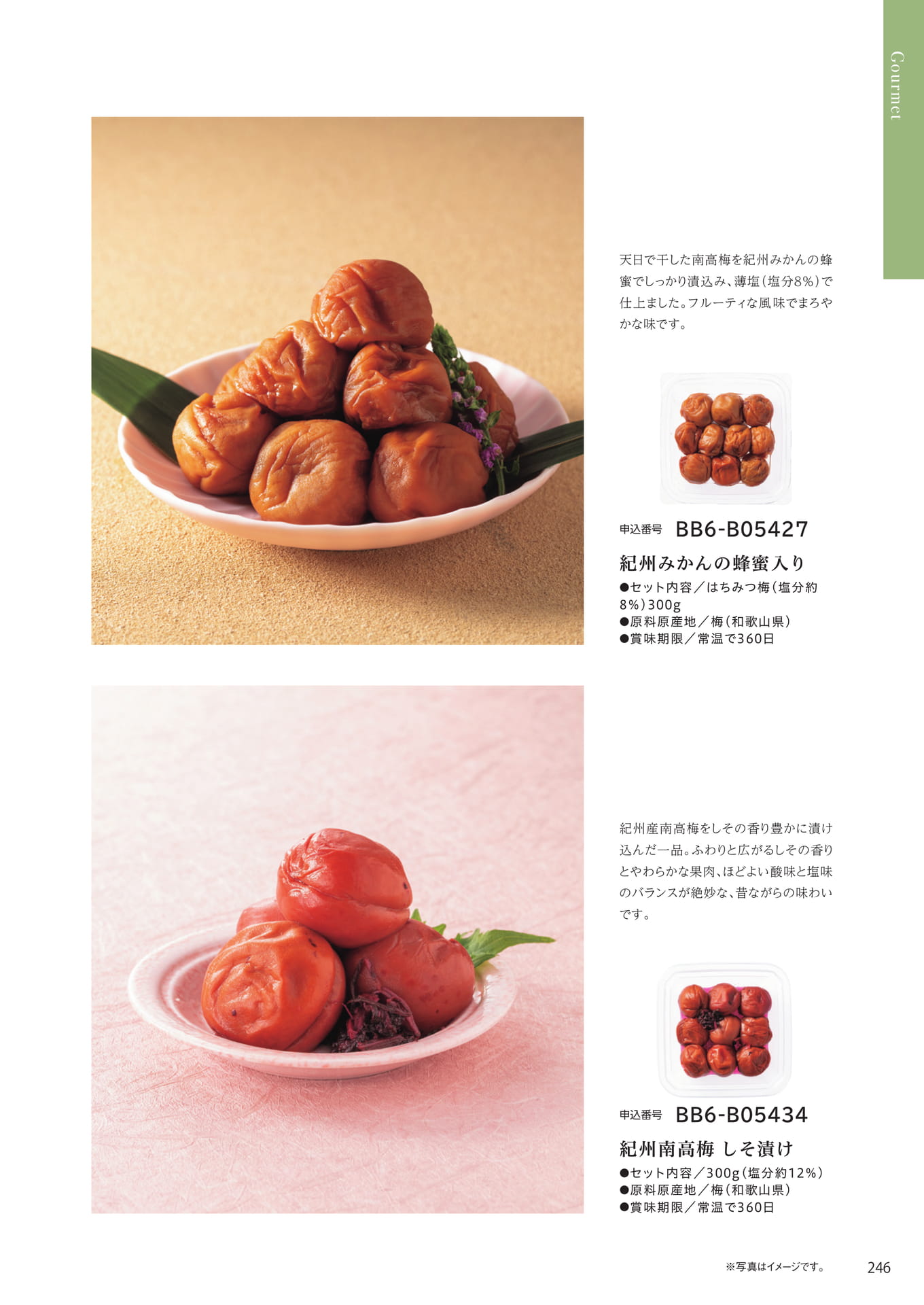 Page 239(239ページ目)