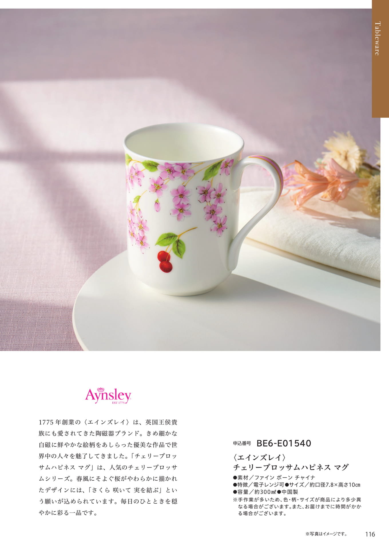 Page 109（109ページ目）