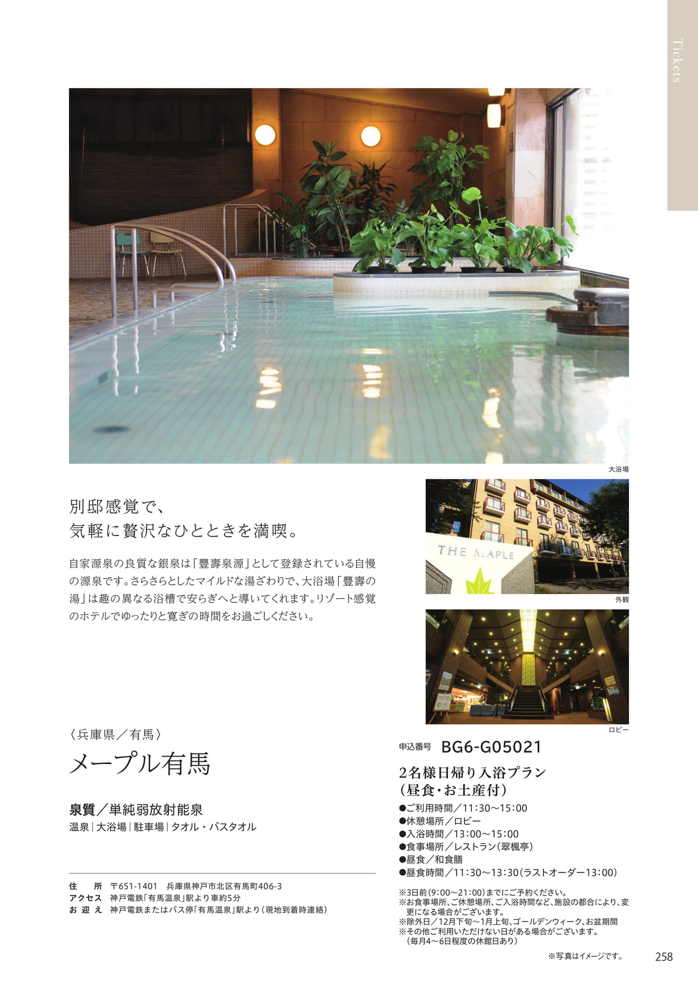 Page 251（251ページ目）