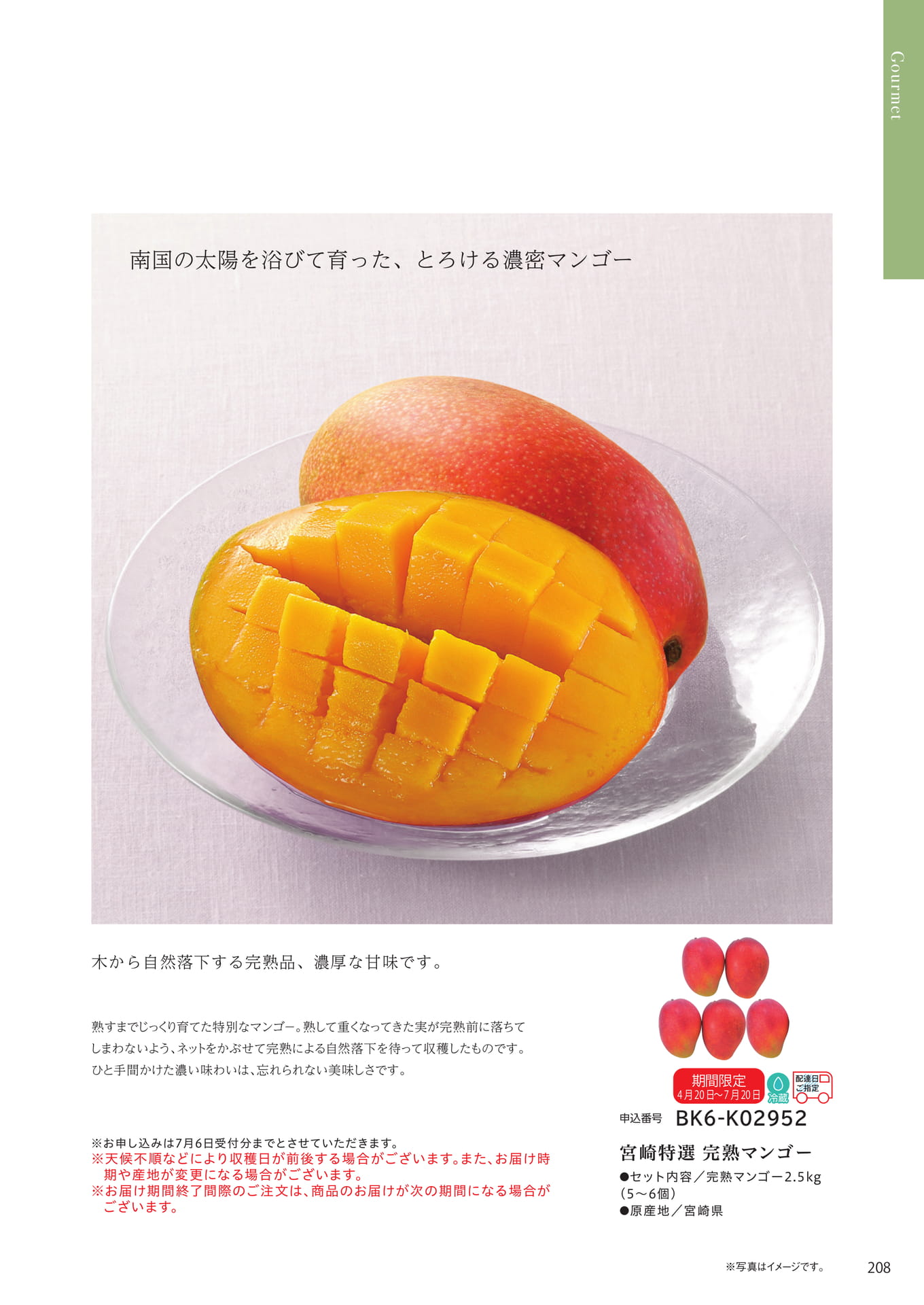Page 201（201ページ目）