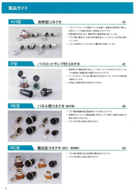 Page 10（10ページ目）