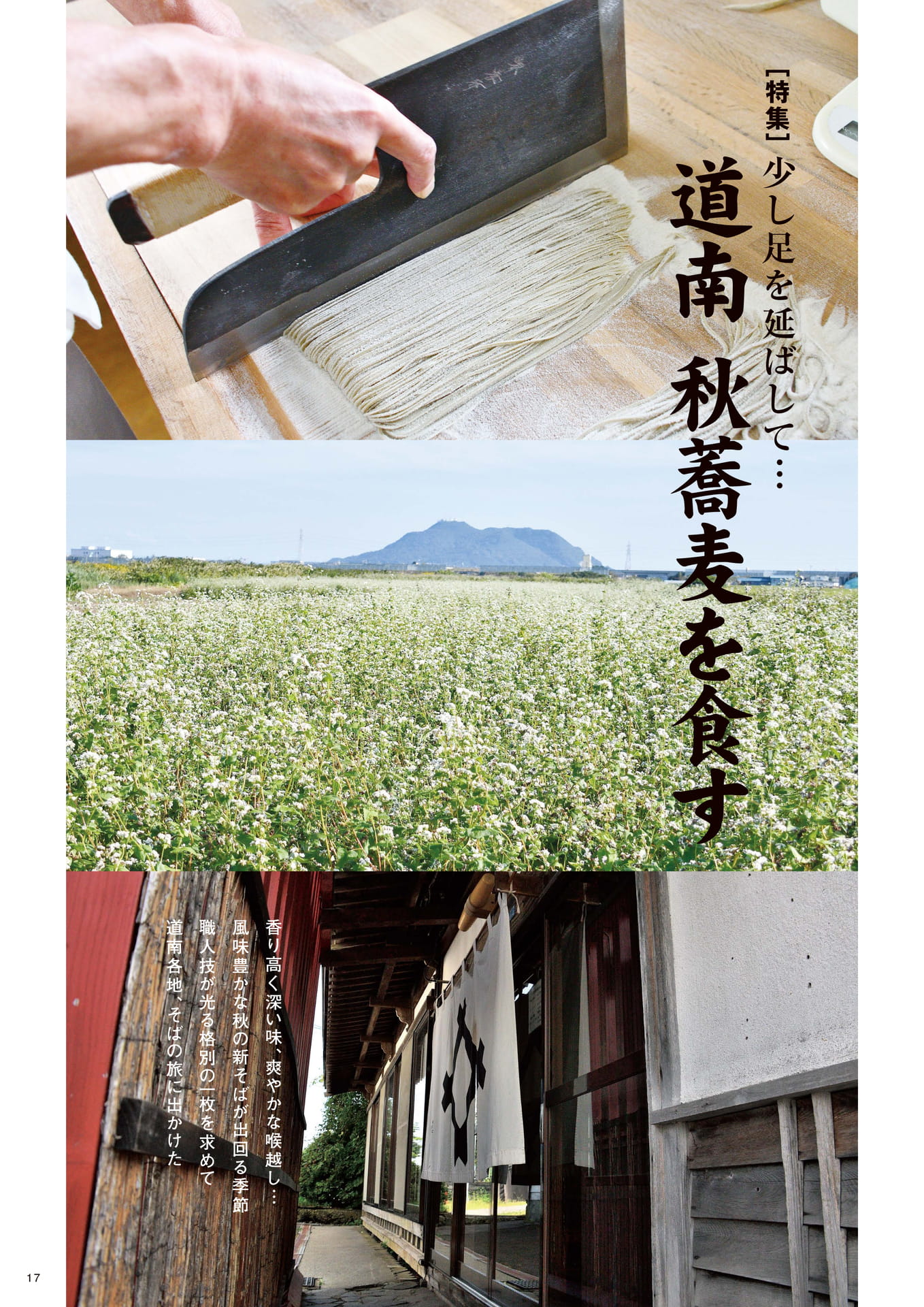 Page 17(17ページ目)
