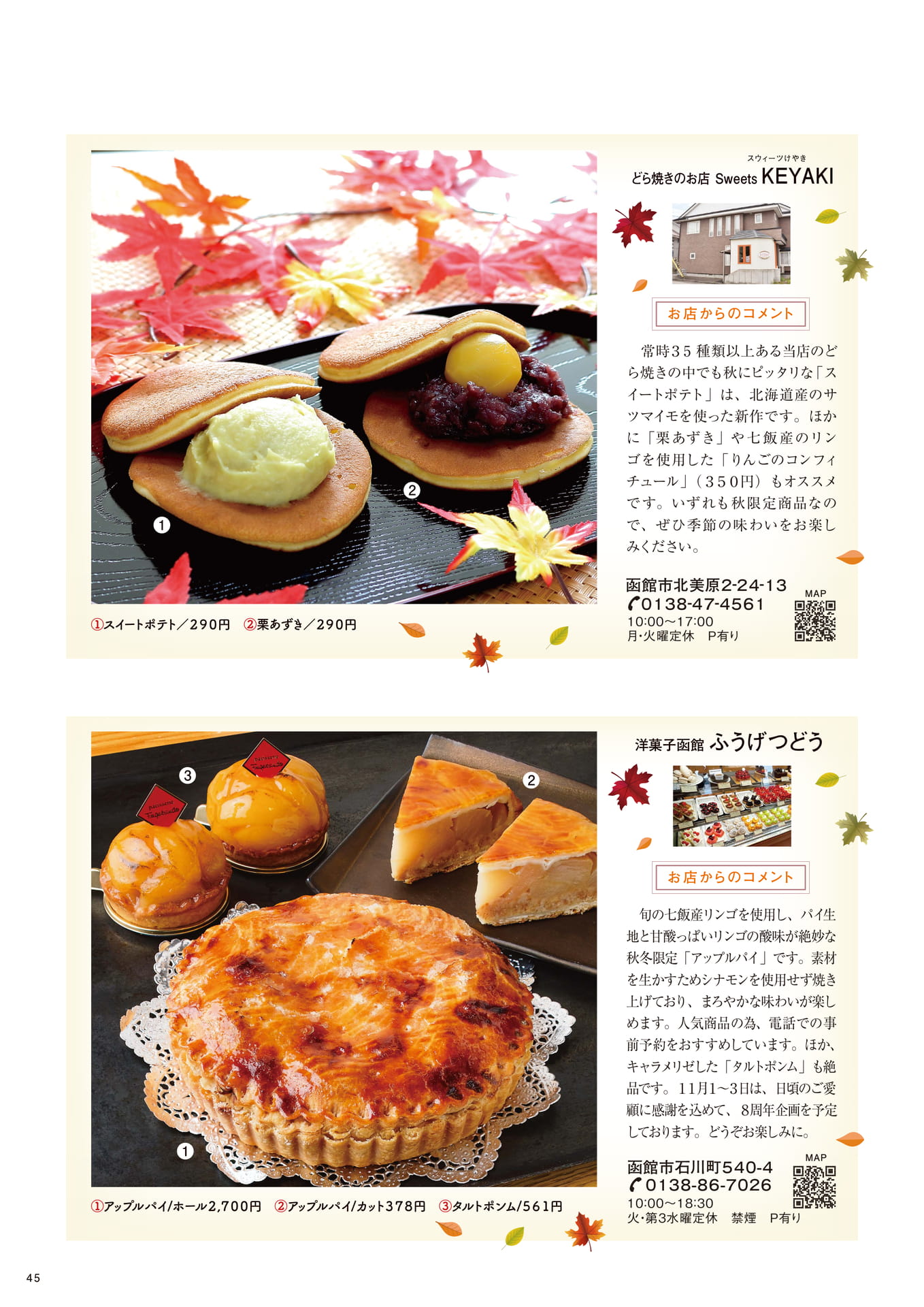 Page 45(45ページ目)