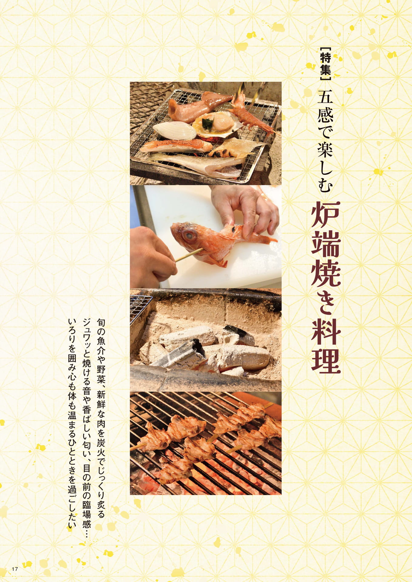 Page 17（17ページ目）