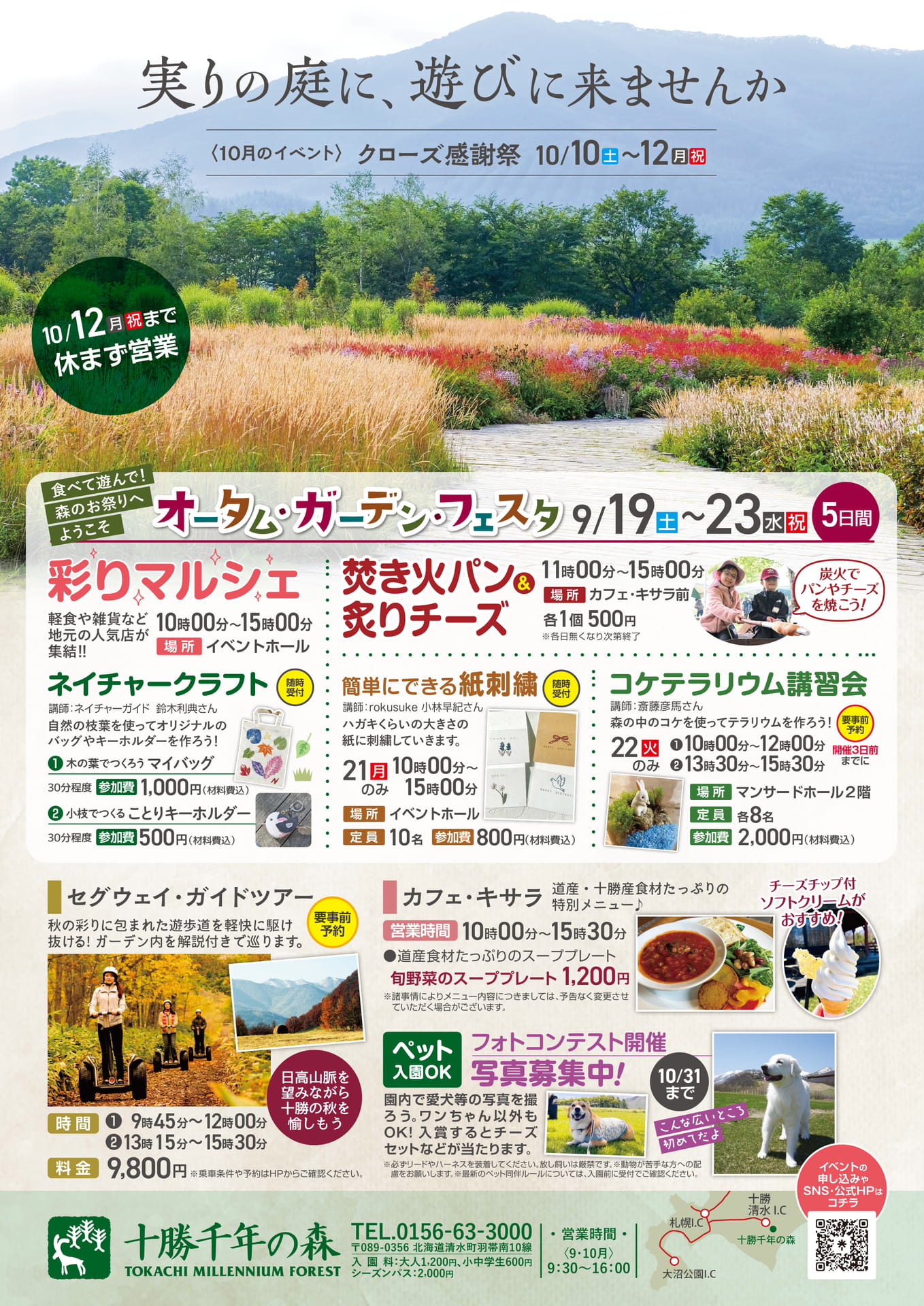 十勝千年の森(6ページ目)