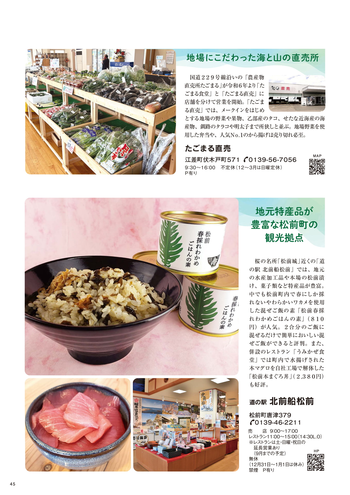 Page 45（45ページ目）
