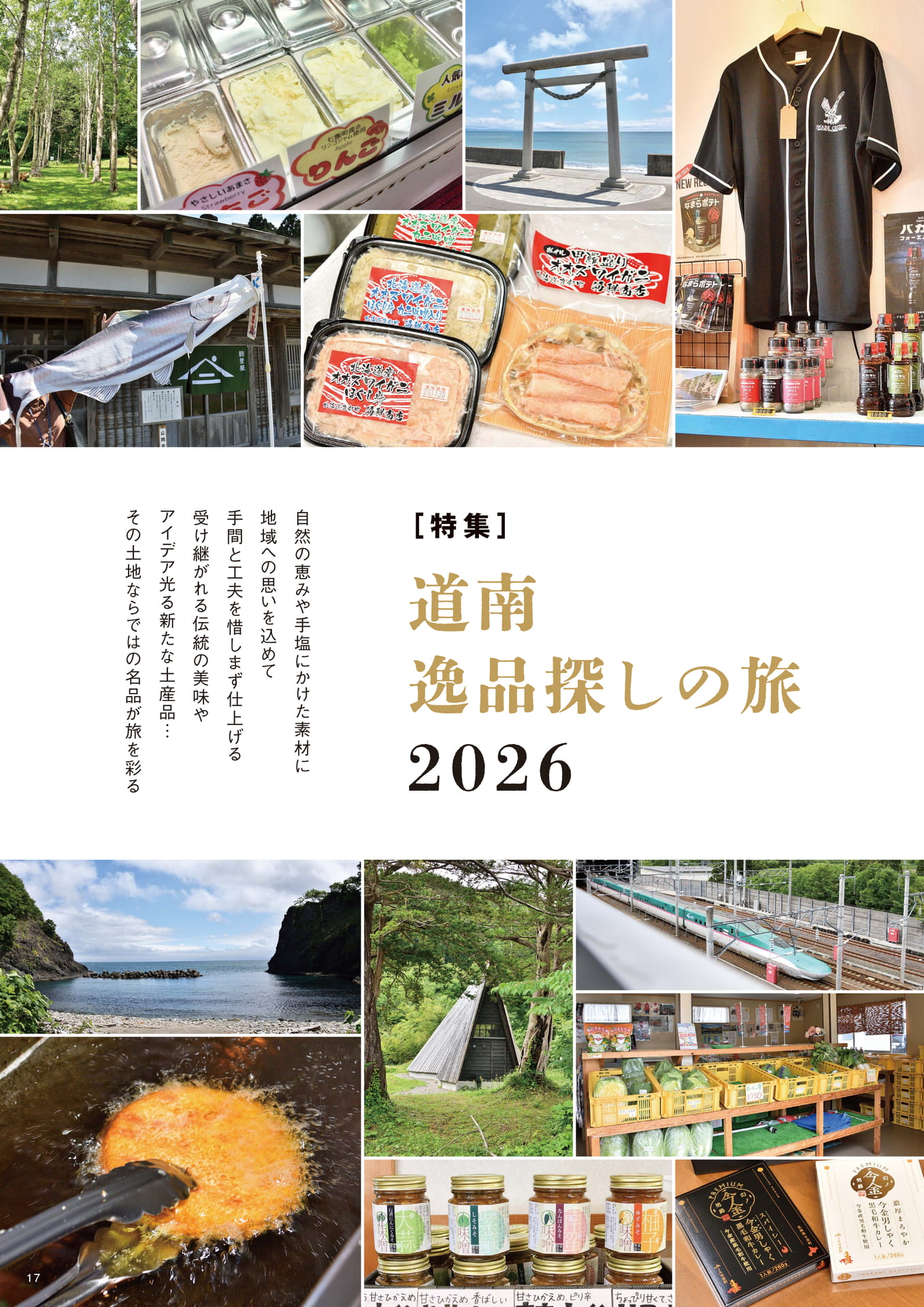 Page 17（17ページ目）