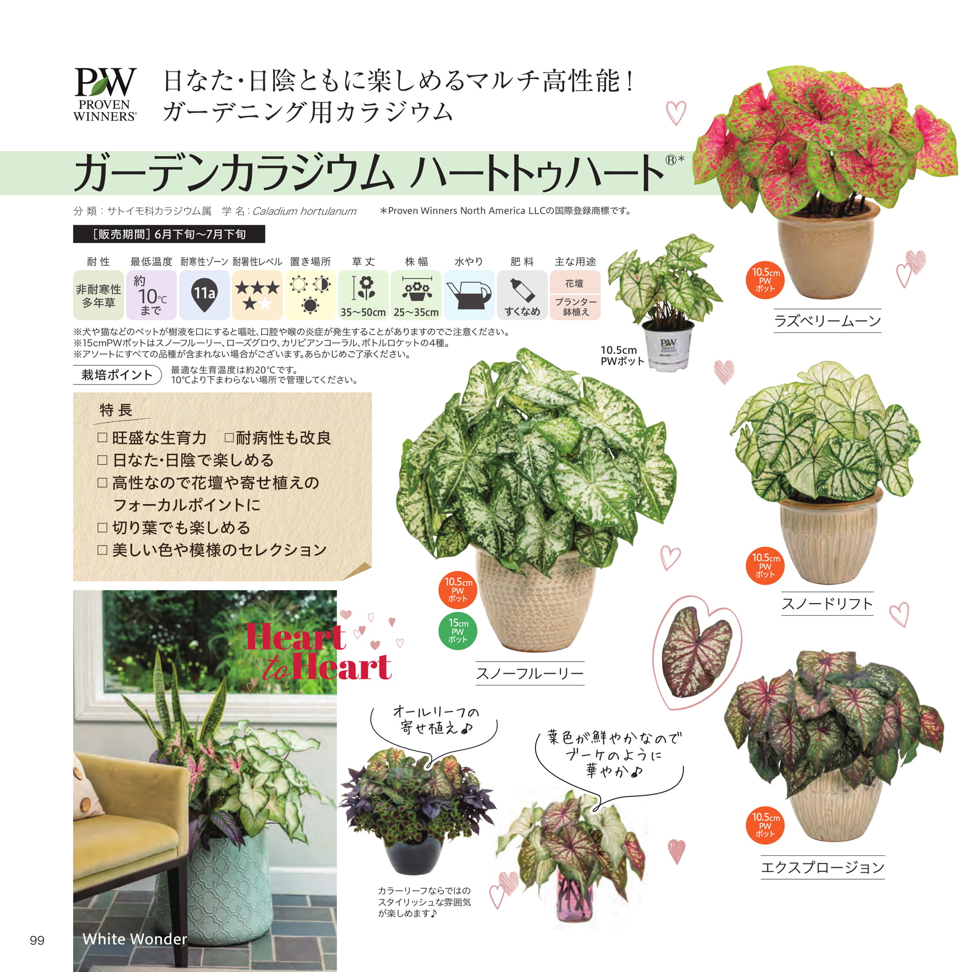 Page 100（100ページ目）