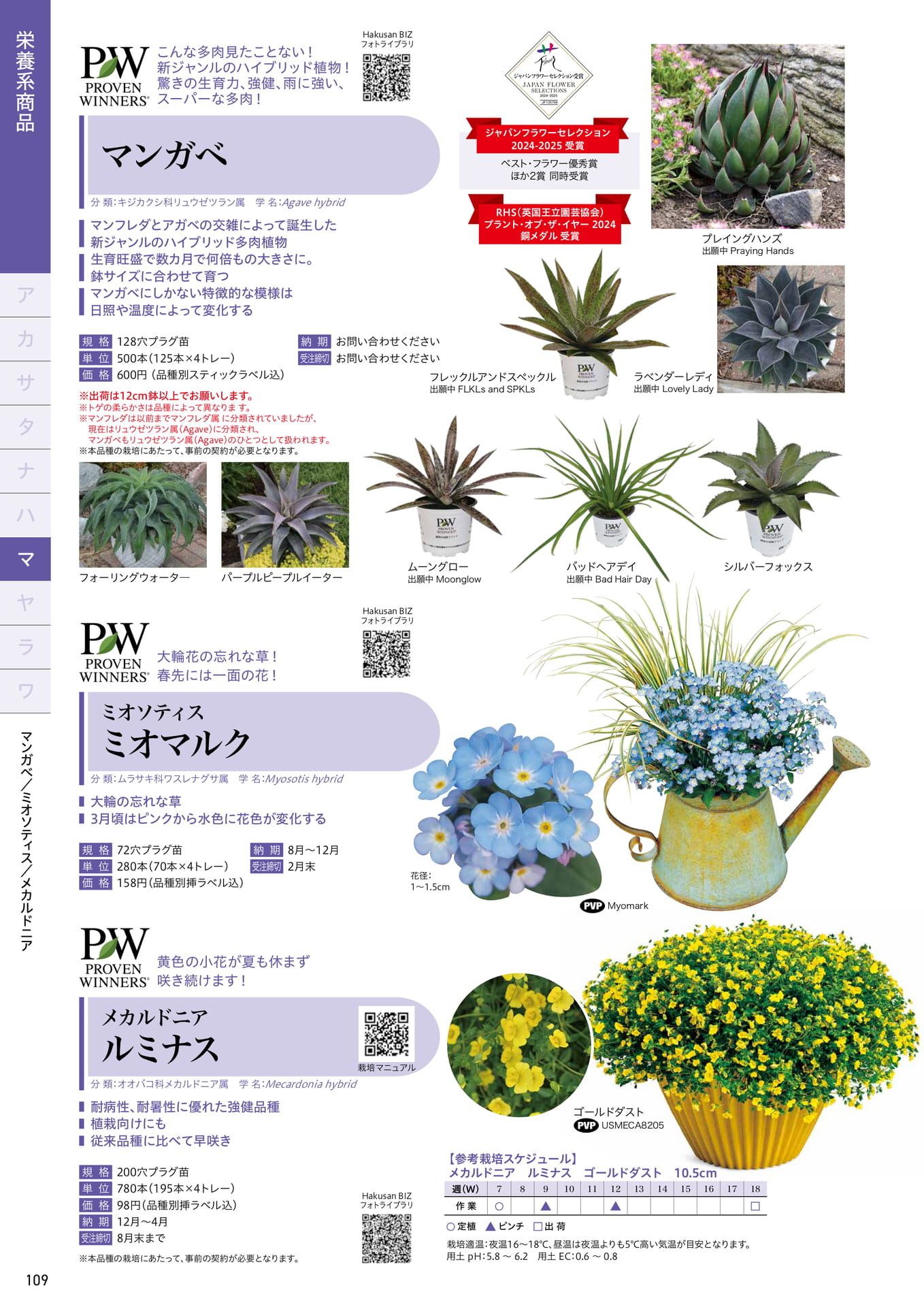 Page 110（110ページ目）