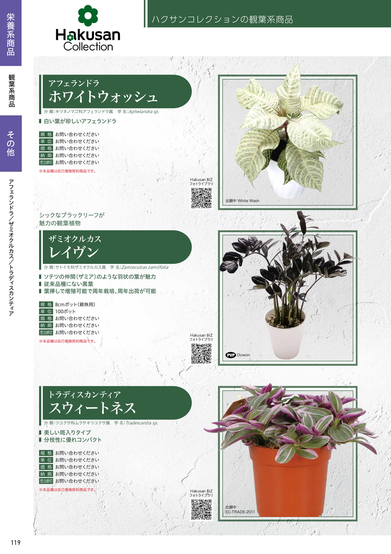 Page 120（120ページ目）
