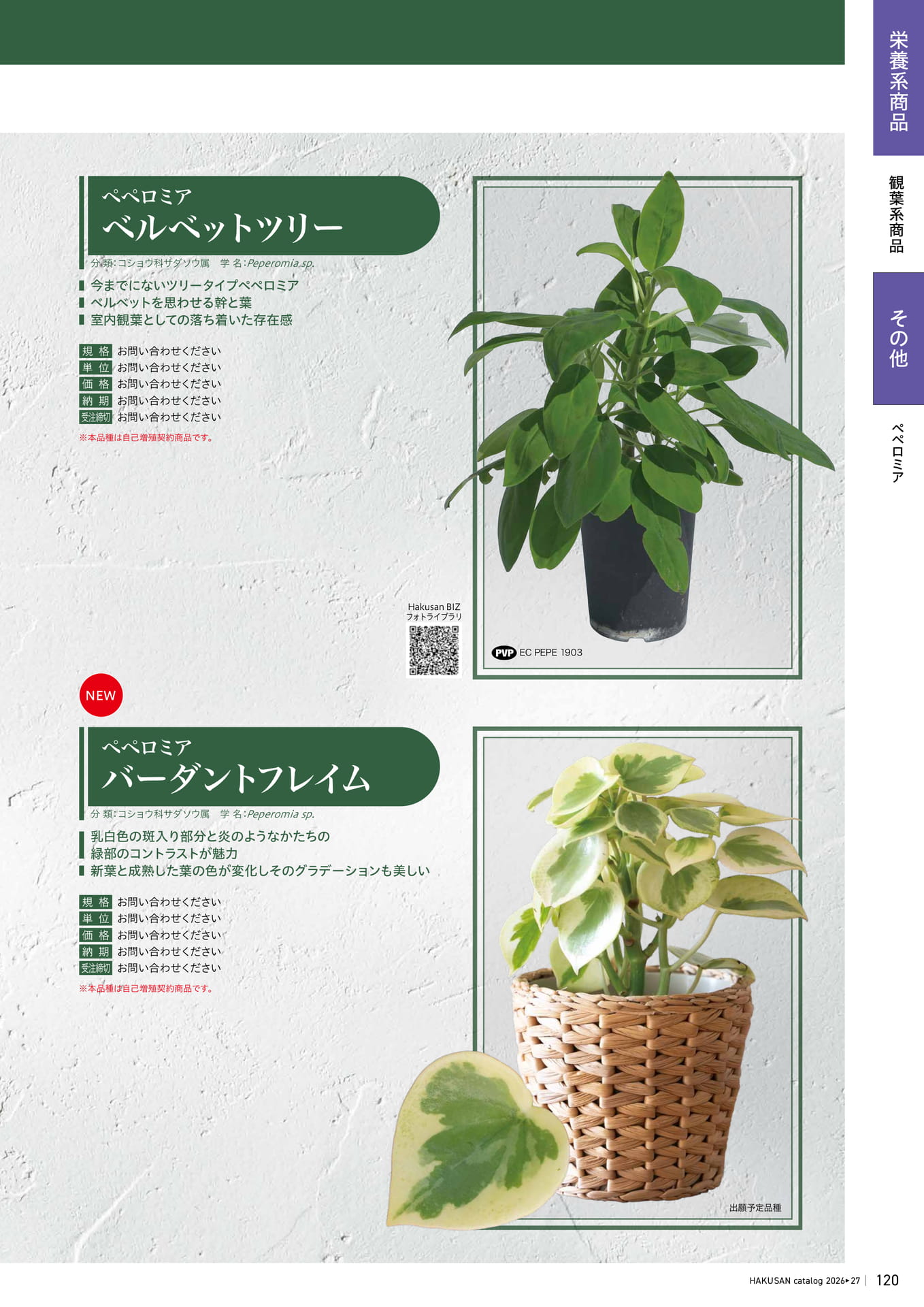 Page 121（121ページ目）