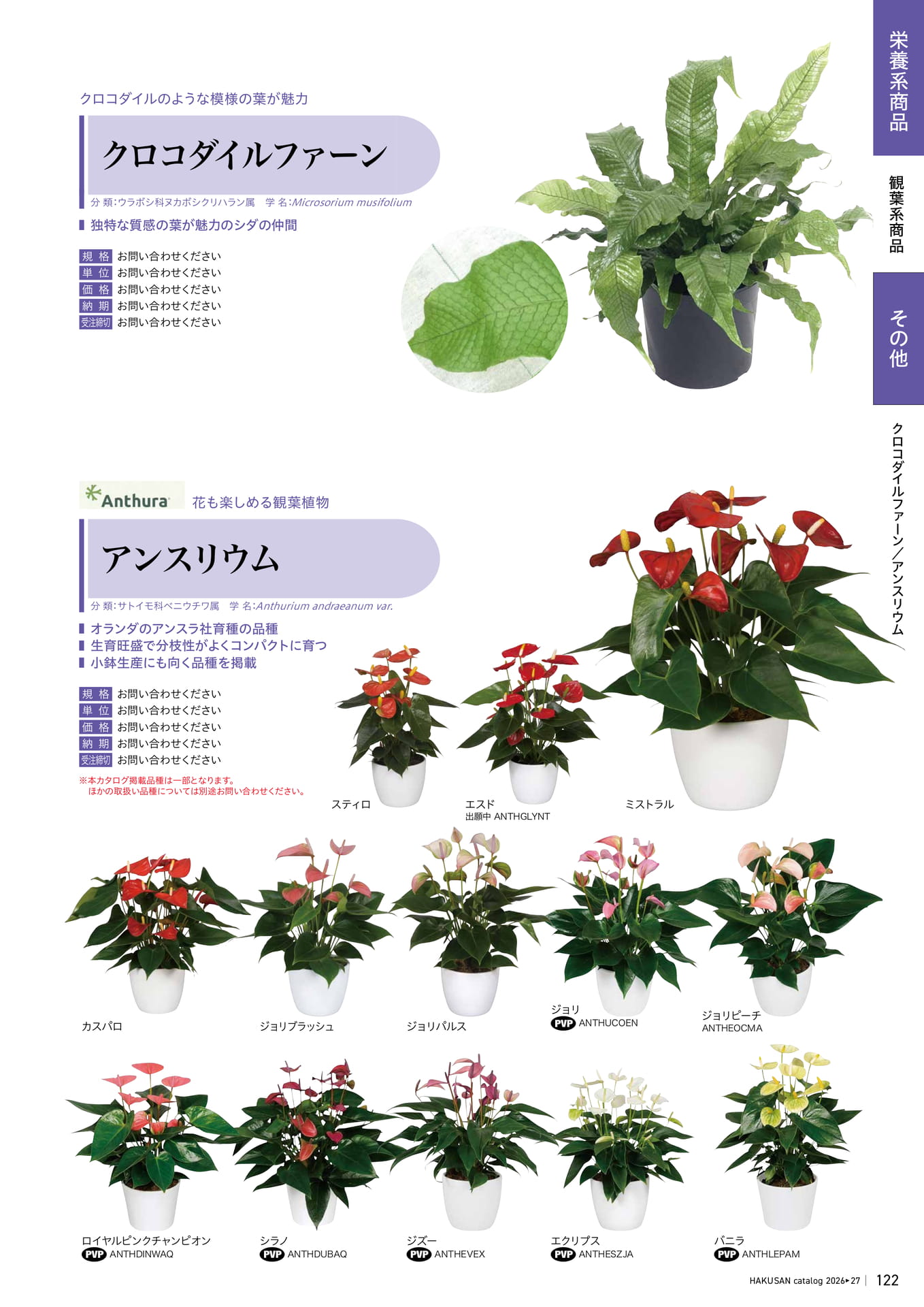Page 123（123ページ目）
