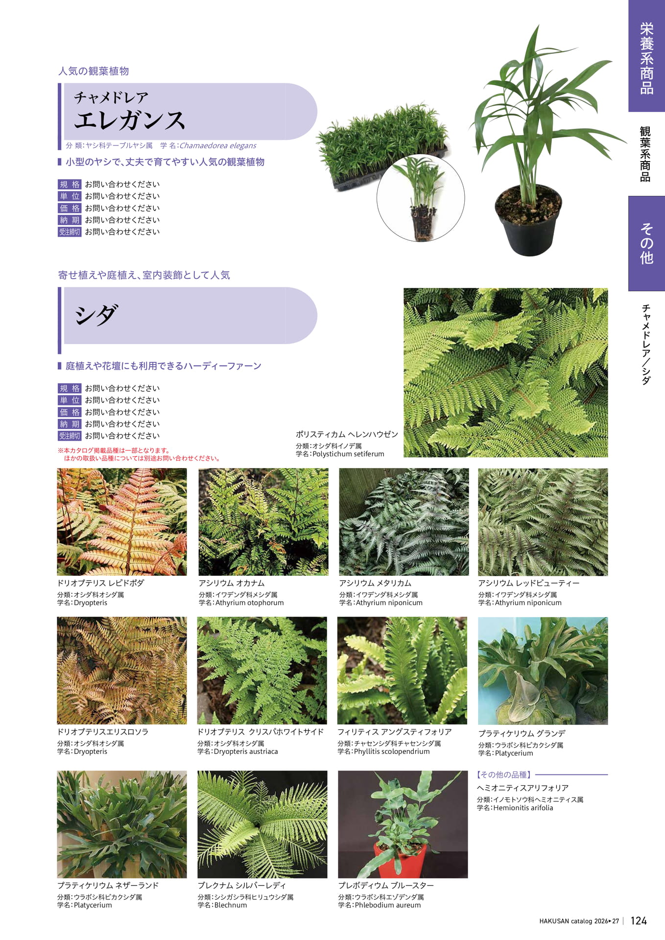 Page 125（125ページ目）