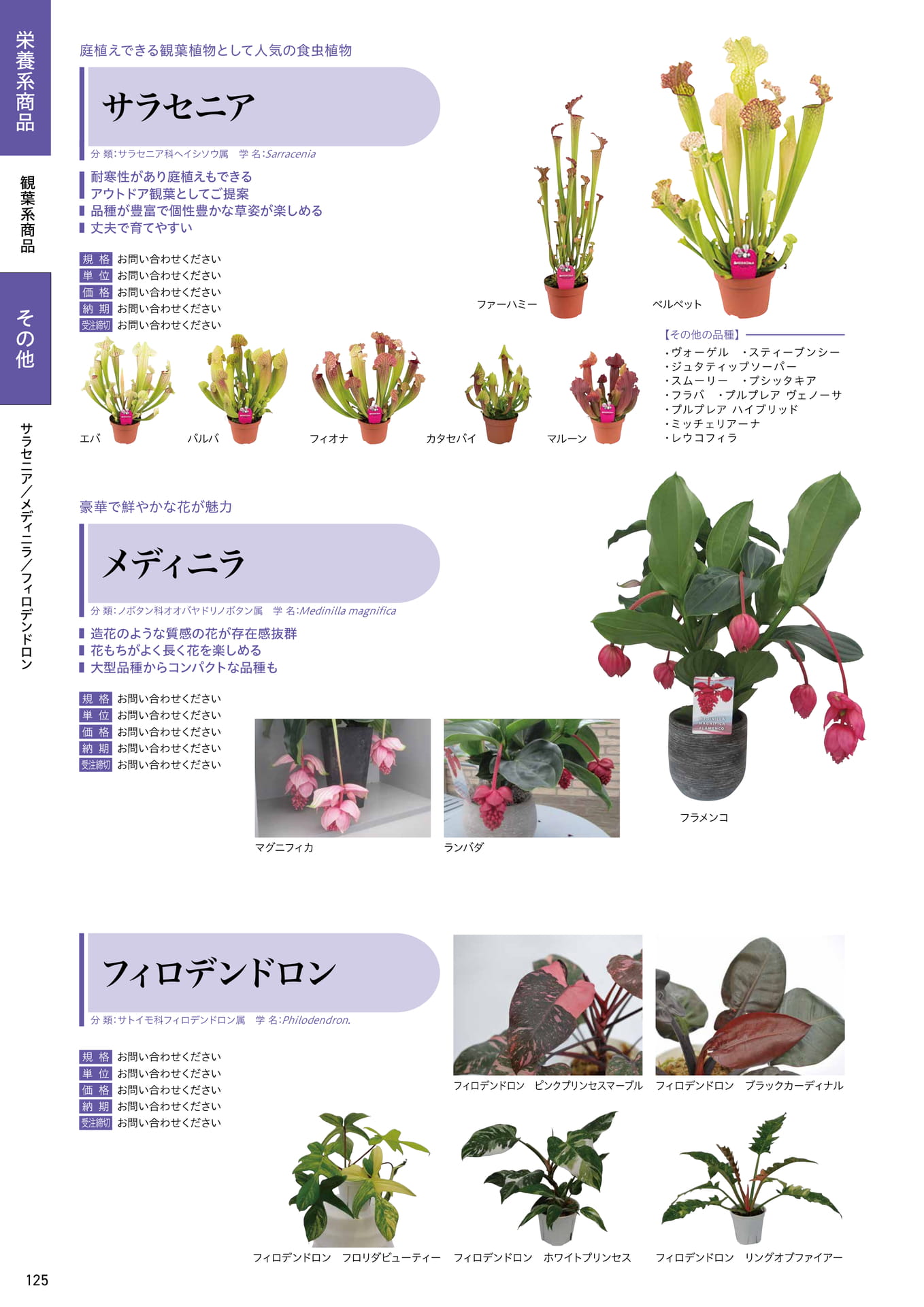 Page 126（126ページ目）